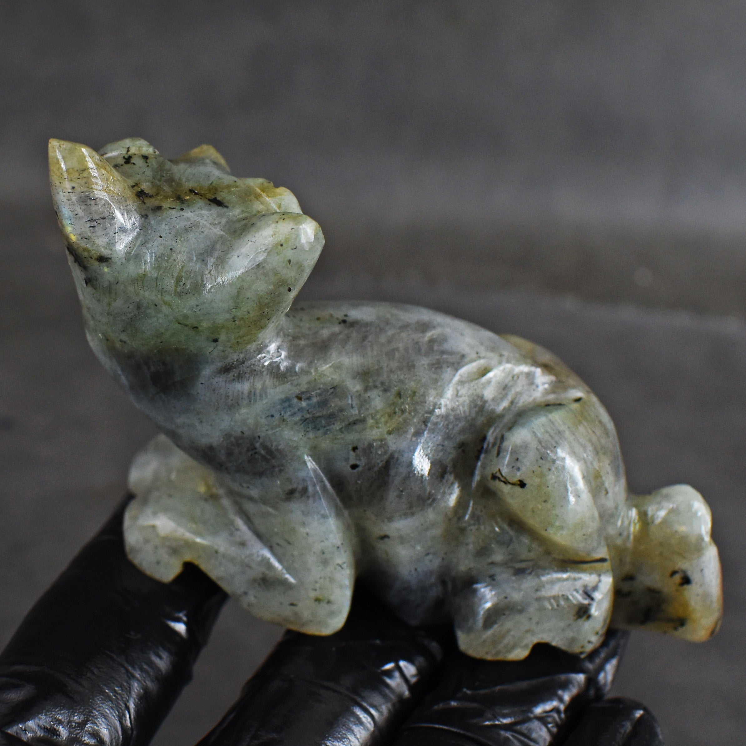 Awesome 580.00 Cts Genuine Amazing Flash Labradorite Hand Carved Crystal Gemstone Cat Carving 2026  Collection