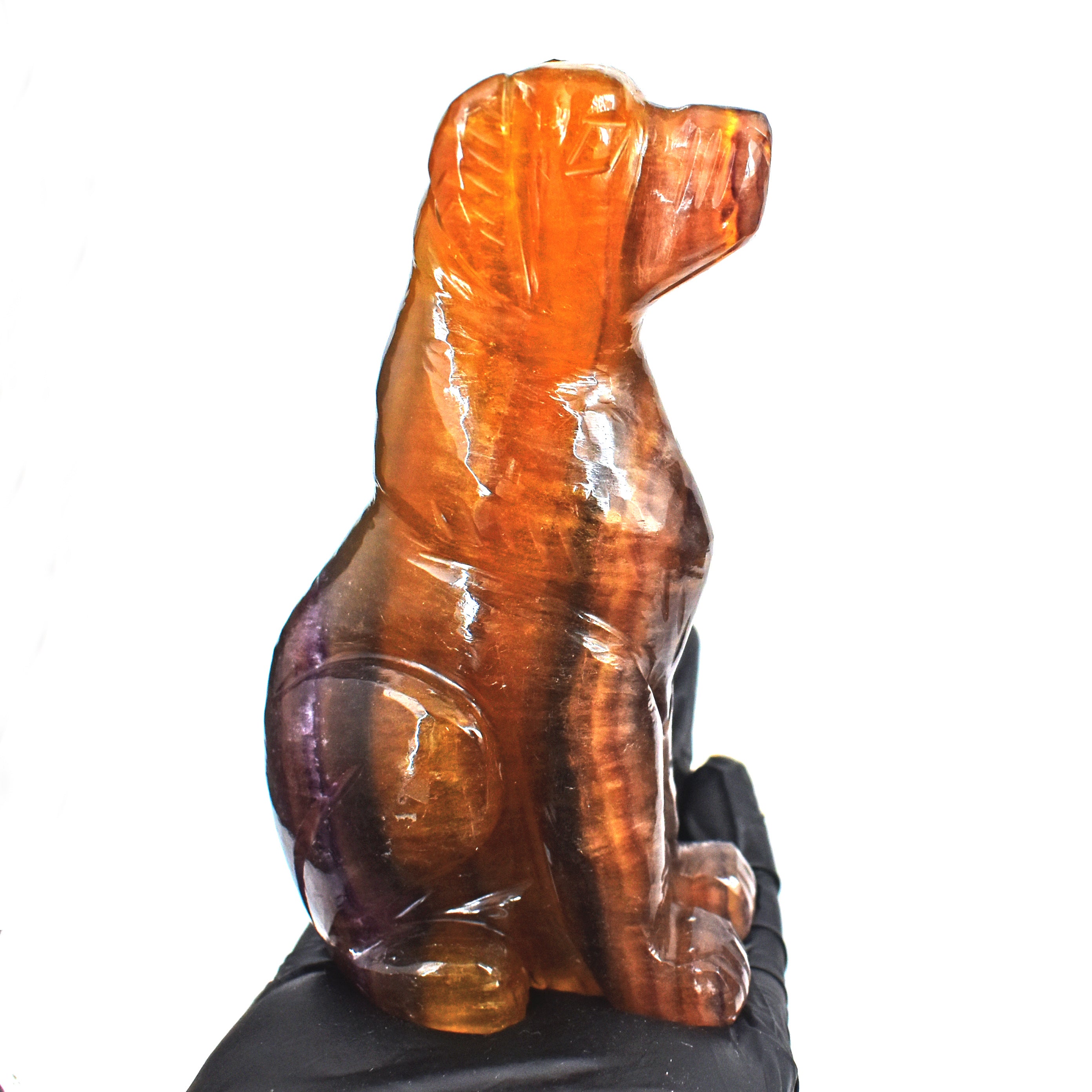 Morbid 1698.00 Carats Genuine Multicolor Fluorite Carved Premium Dog Crystal