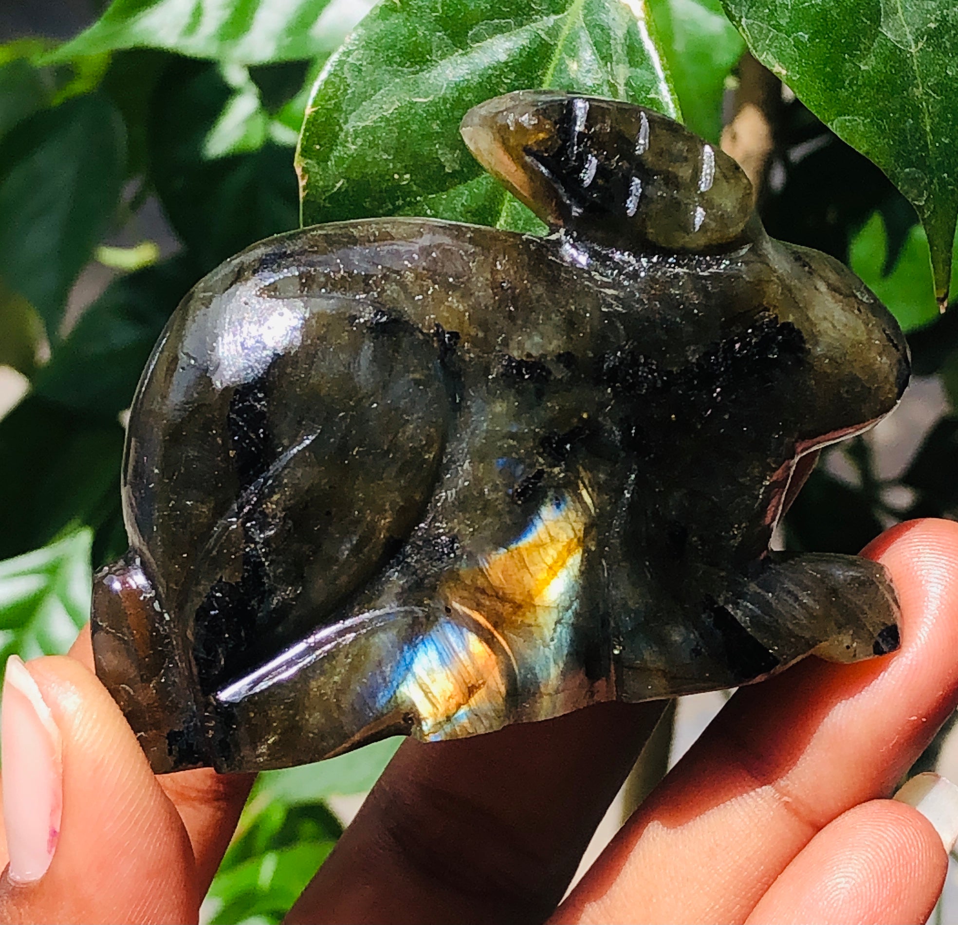 Superb 387.00 Cts Genuine Labradorite Hand Carved Gemstone Bunny 2026  Collection