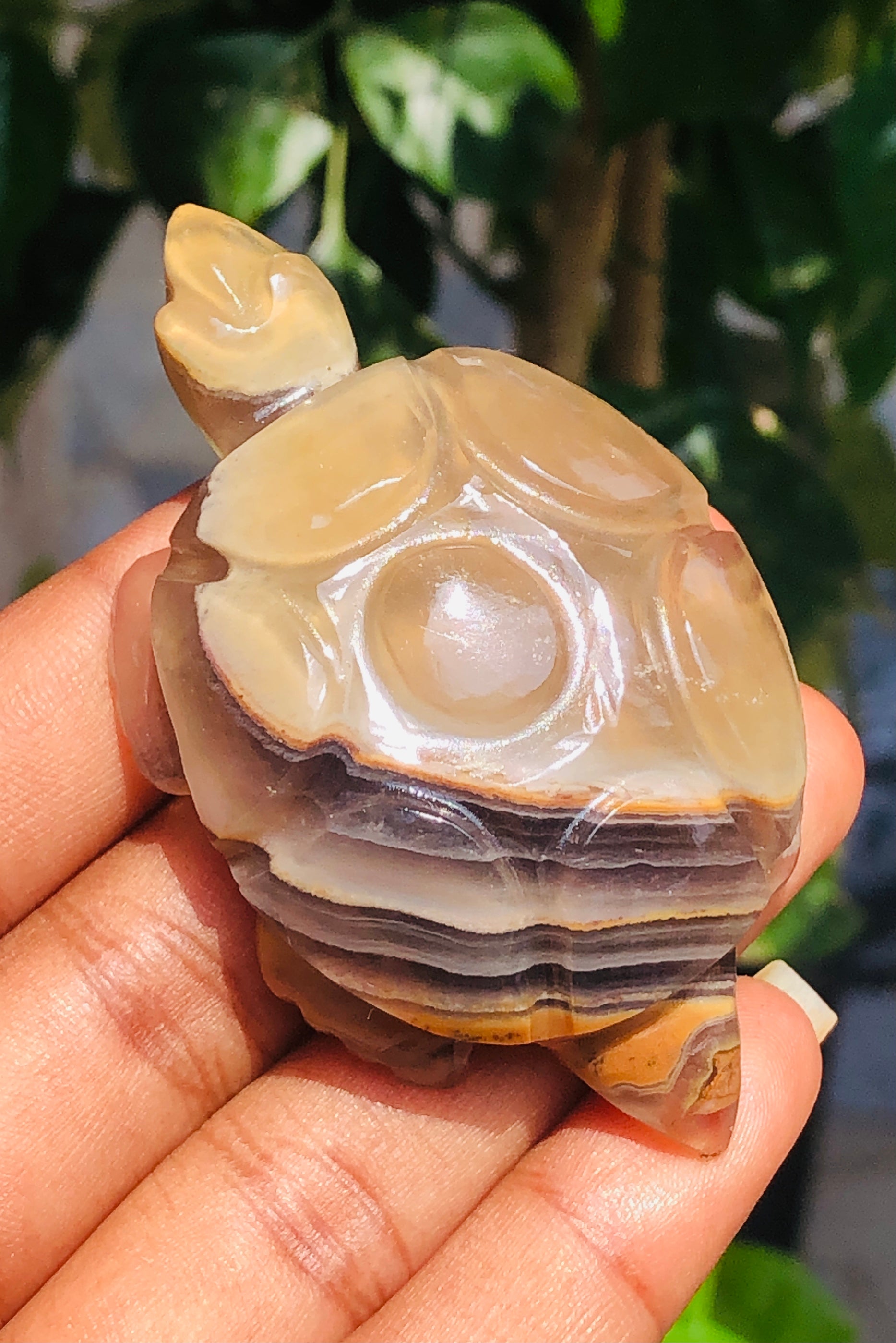 Amazing 277.00 Cts Genuine Agate Hand Carved Premium Crystal Turtle 2026  Collection