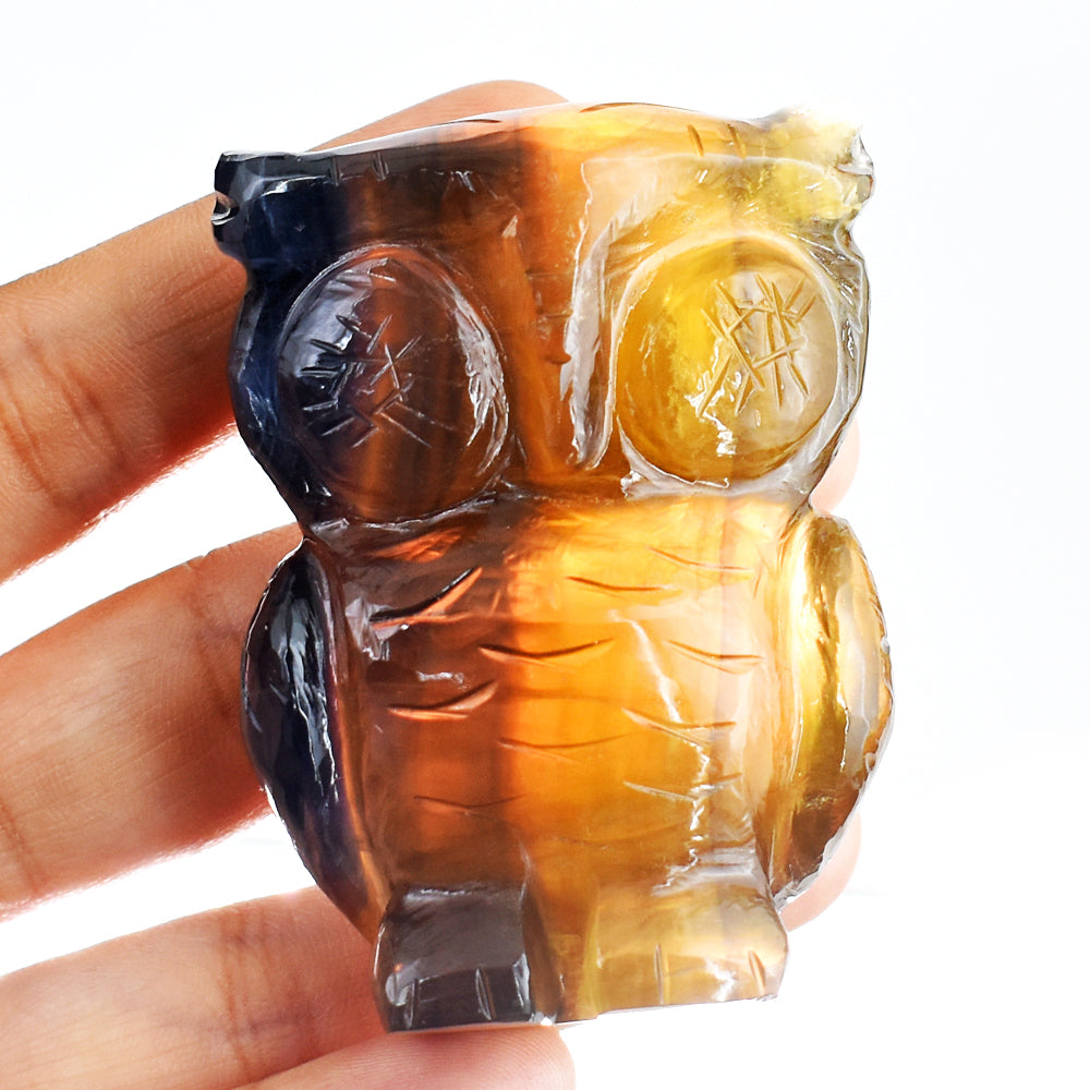 Amazing 800.00 Cts Genuine Multicolor Fluorite Hand Carved Crystal Gemstone Owl Carving