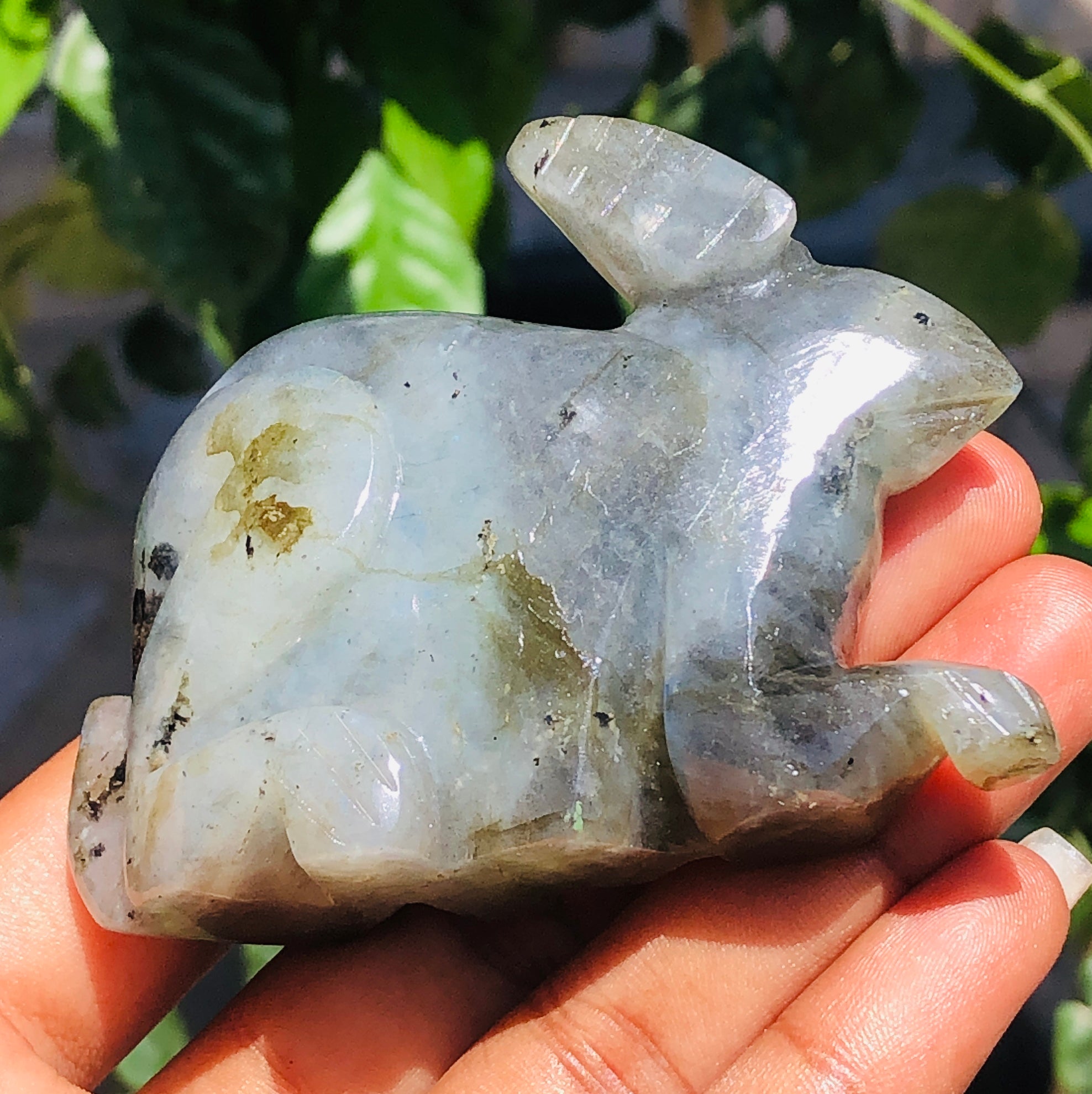 Superb 533.00 Cts Genuine Labradorite Hand Carved Gemstone Bunny 2026  Collection