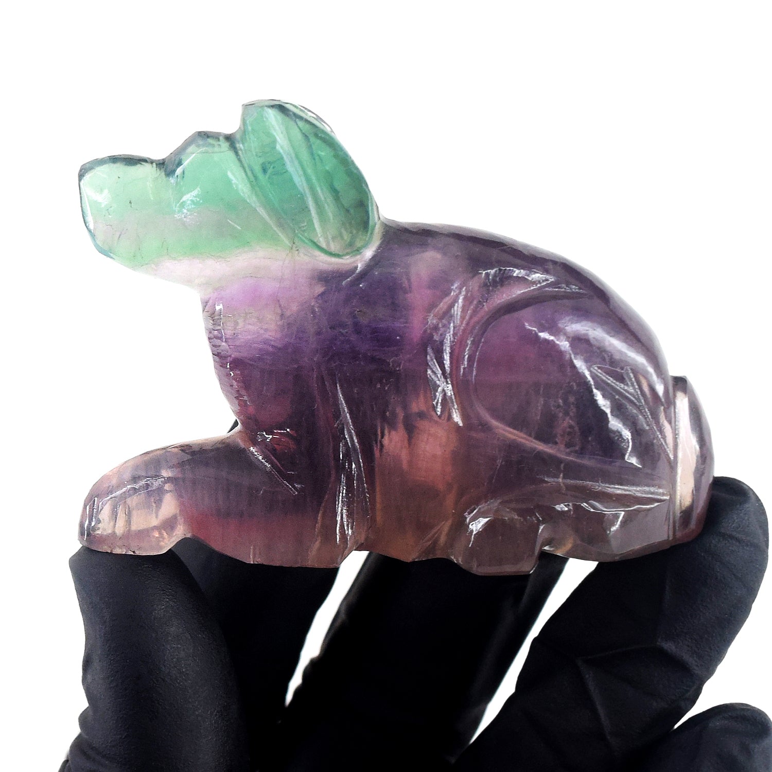 Morbid 353.00 Cts Genuine Multicolor Fluorite Carved Premium Dog Crystal