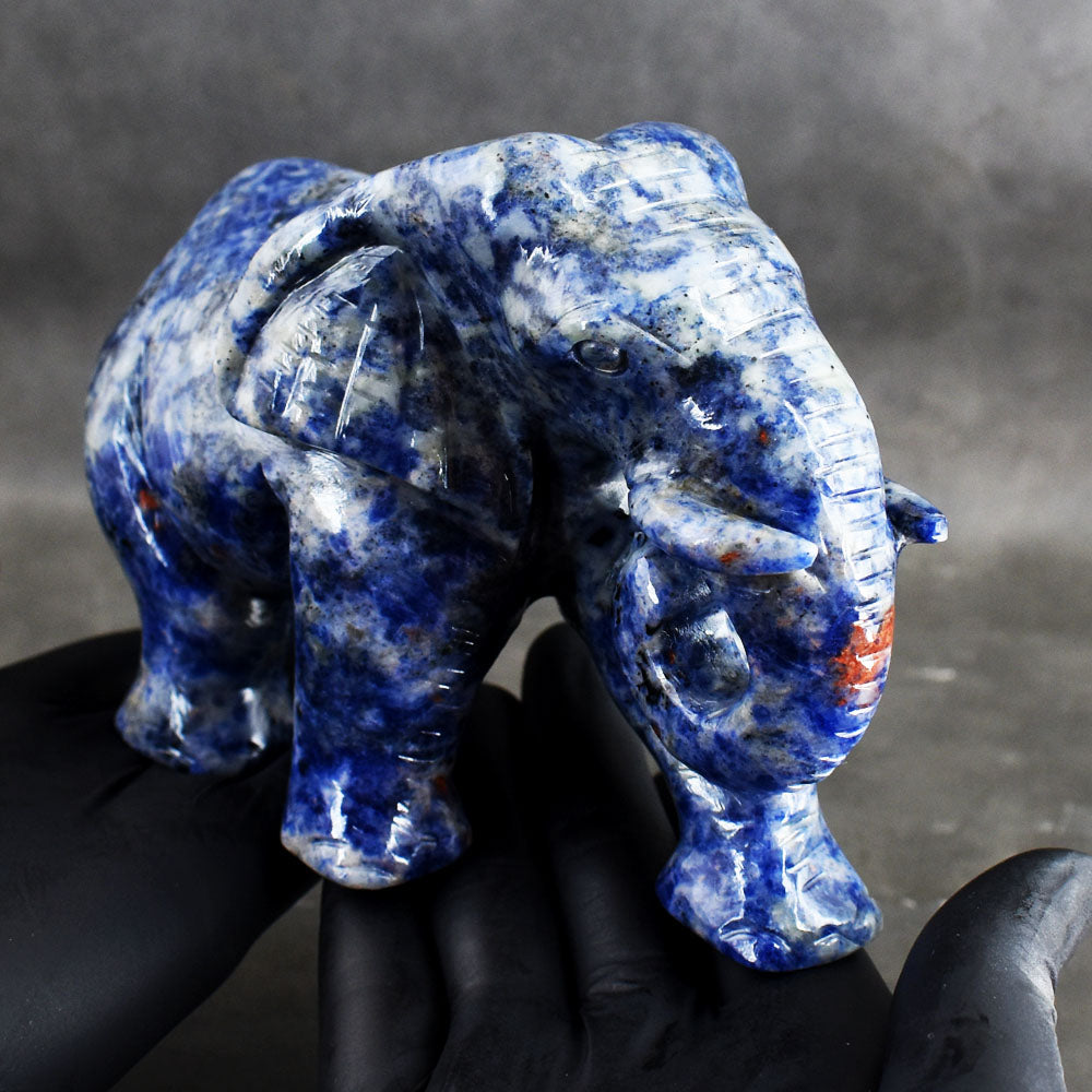 Awesome 4096.00 Carats Genuine Sodalite Hand Carved Crystal Gemstone Elephant Carving