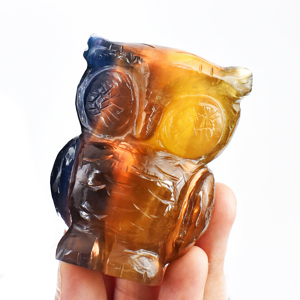 Amazing 800.00 Cts Genuine Multicolor Fluorite Hand Carved Crystal Gemstone Owl Carving