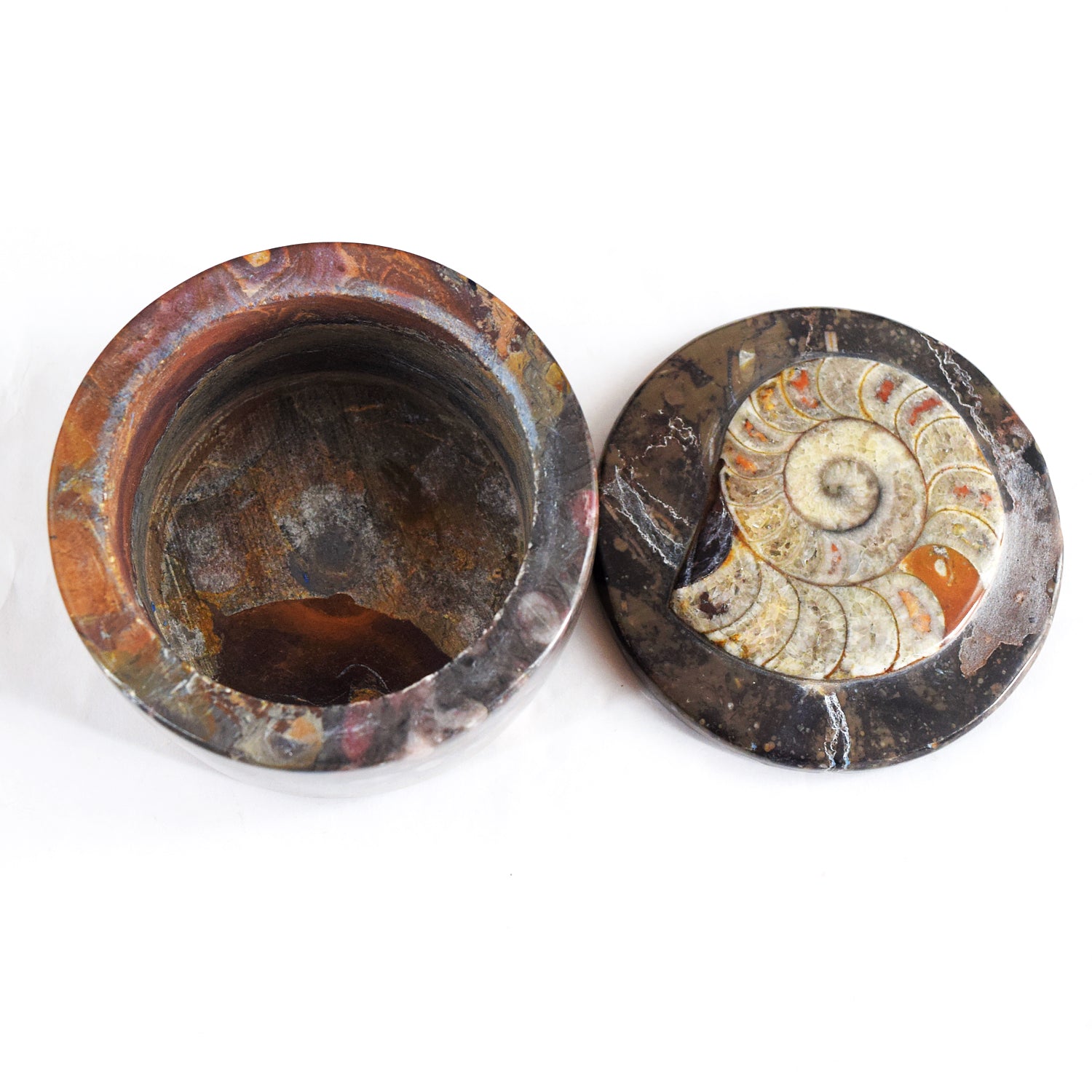 Confounding 1147.00 Cts Genuine Orthoceras Crystal Specimen Round Shape Box
