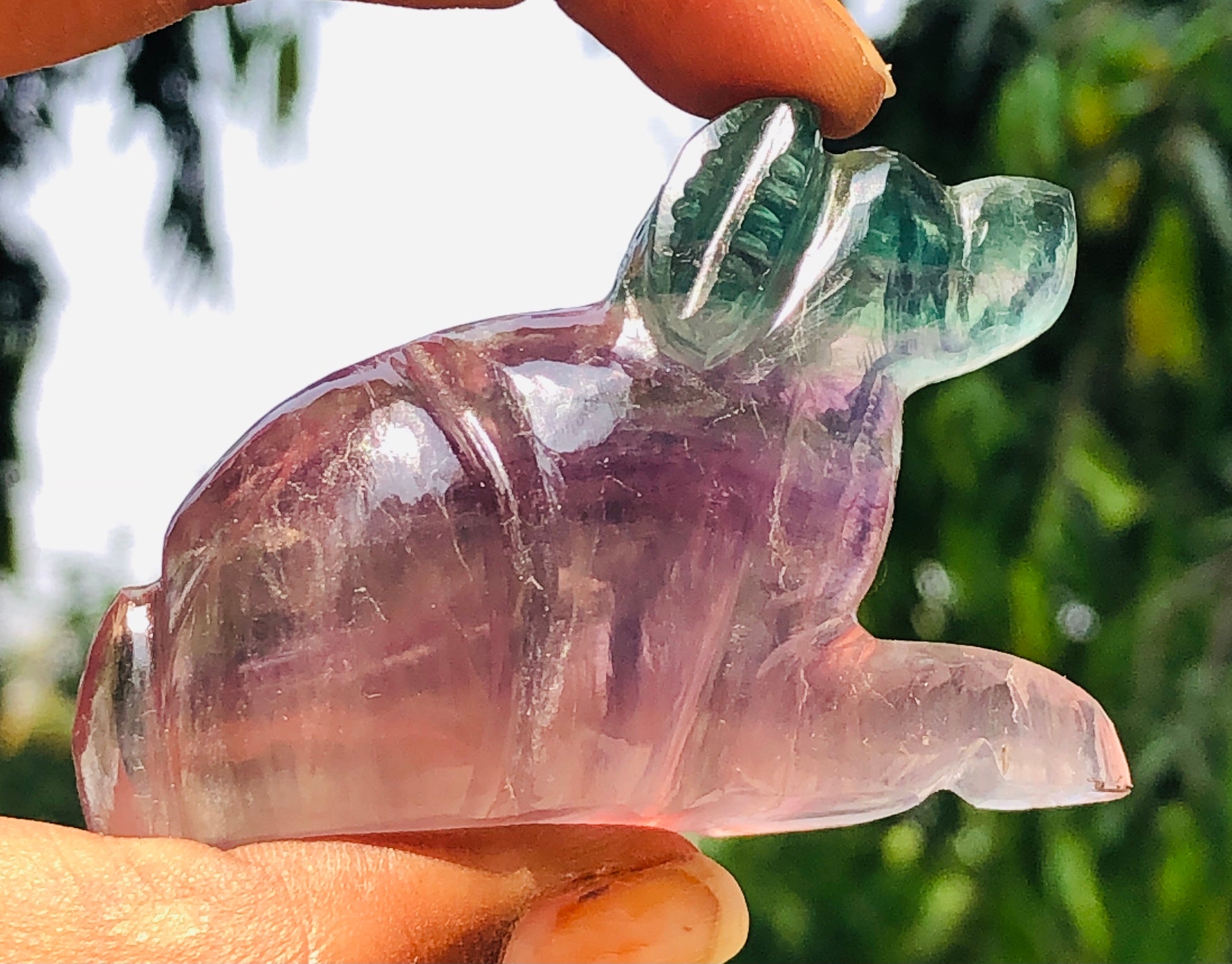 Morbid 353.00 Cts Genuine Multicolor Fluorite Carved Premium Dog Crystal