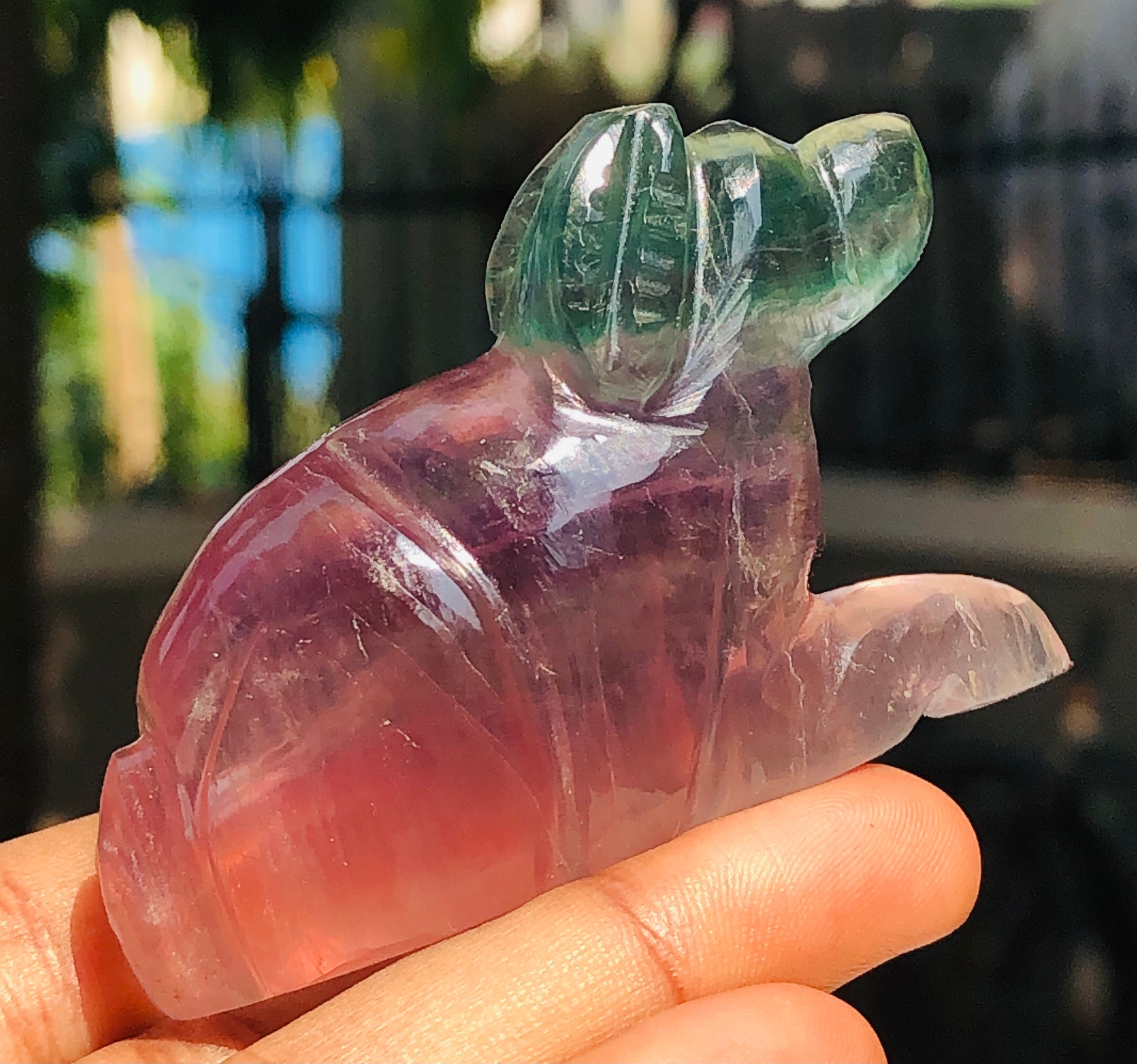 Morbid 353.00 Cts Genuine Multicolor Fluorite Carved Premium Dog Crystal