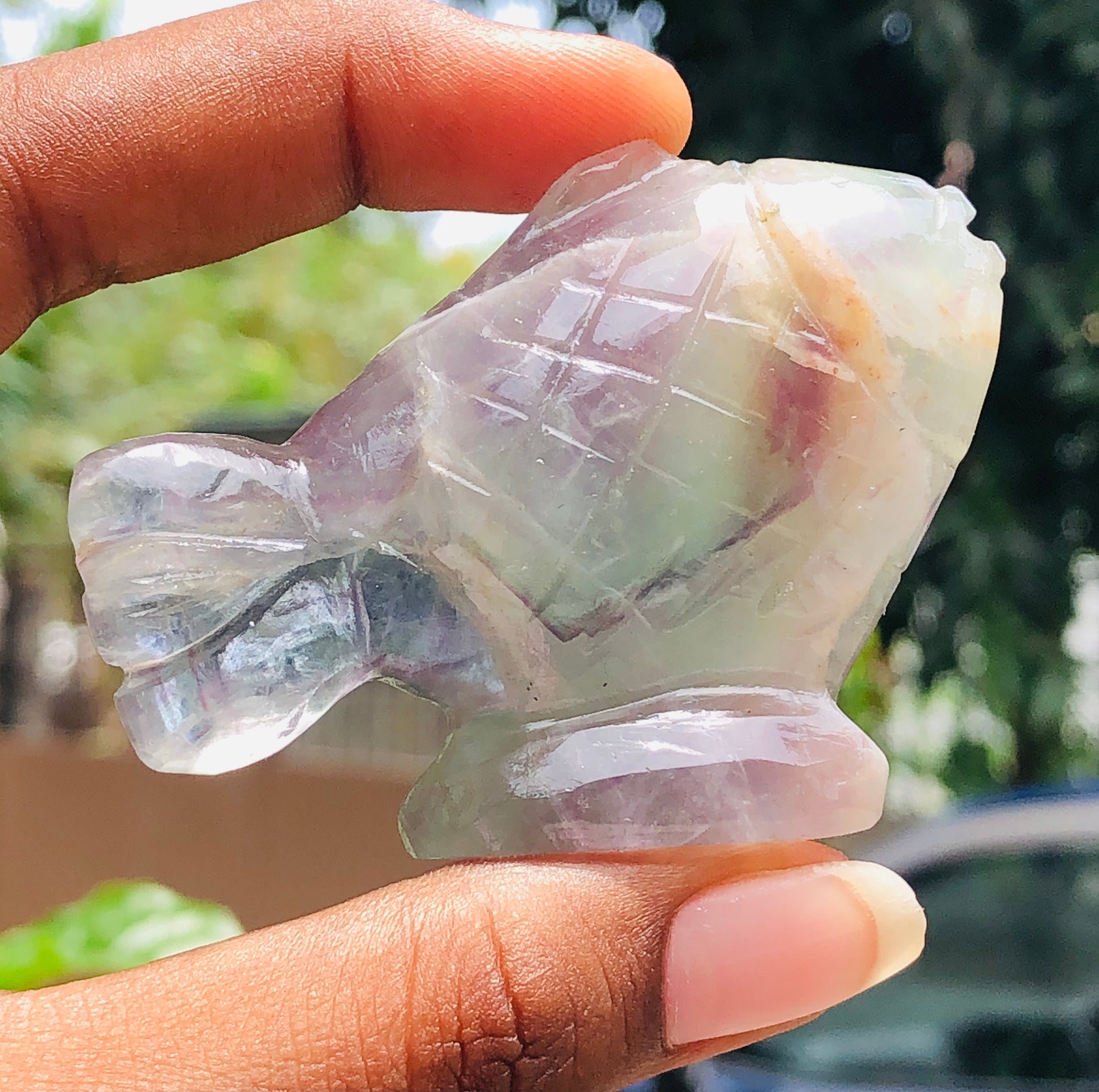Genuine 322.00 Cts Multicolor Fluorite Carved Crystal Premium Fish 2026  Collection