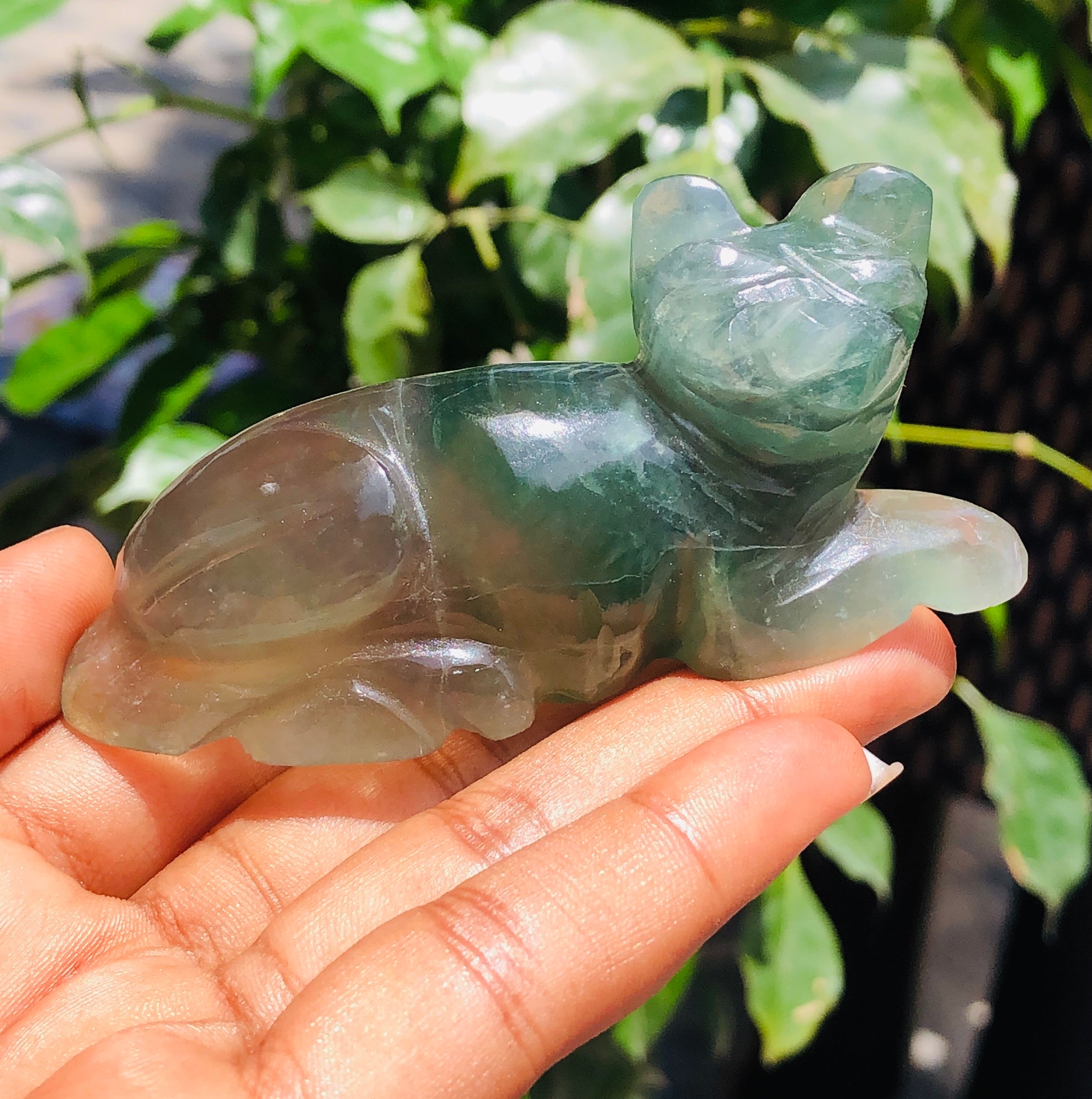 Artisian 562.00 Cts Genuine Multicolor Fluorite Carved Premium Cat Crystal 2026  Collection