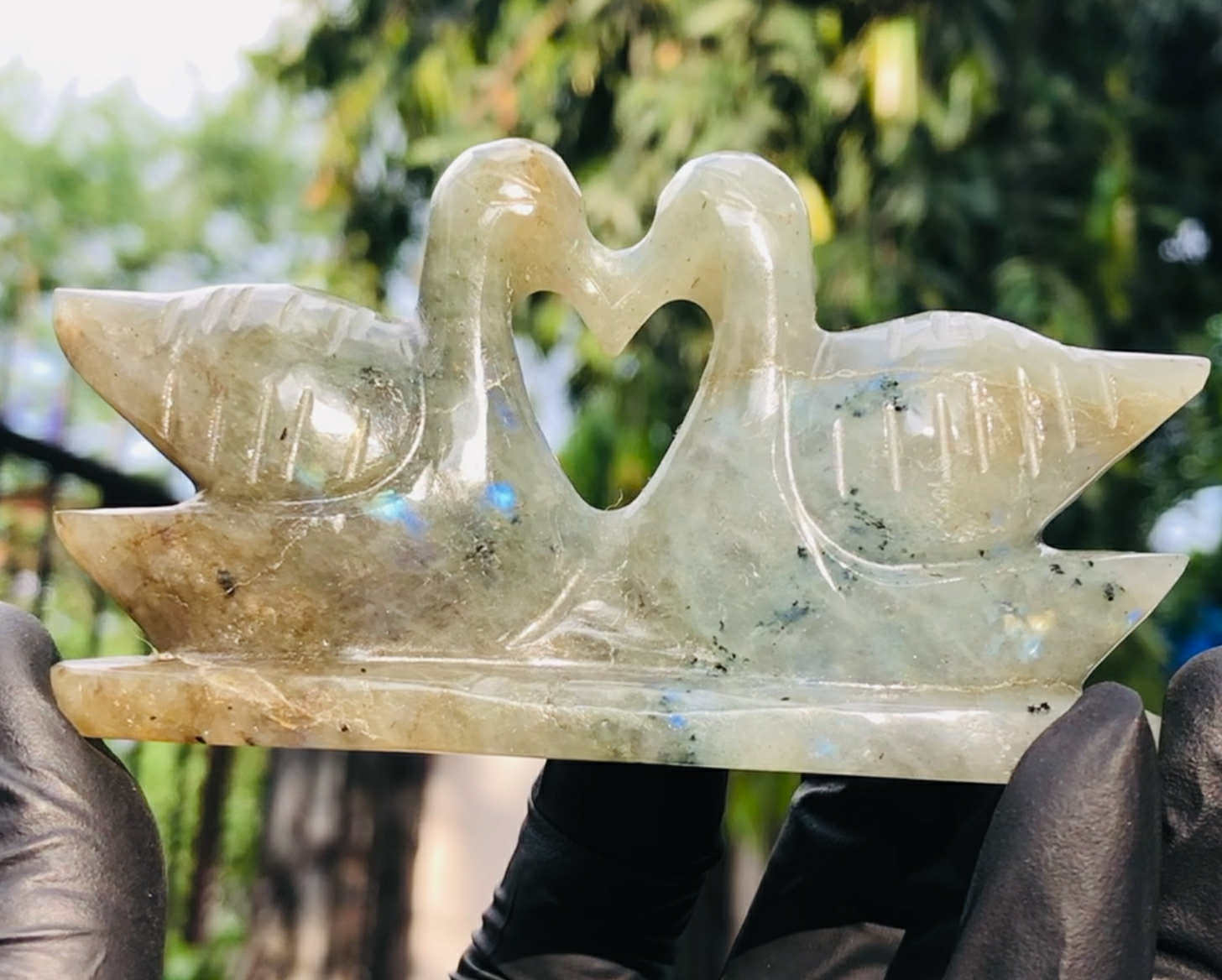 Majestic 625.00 Cts Genuine Blue Flash Labradorite Love Carved Premium Swan Pair