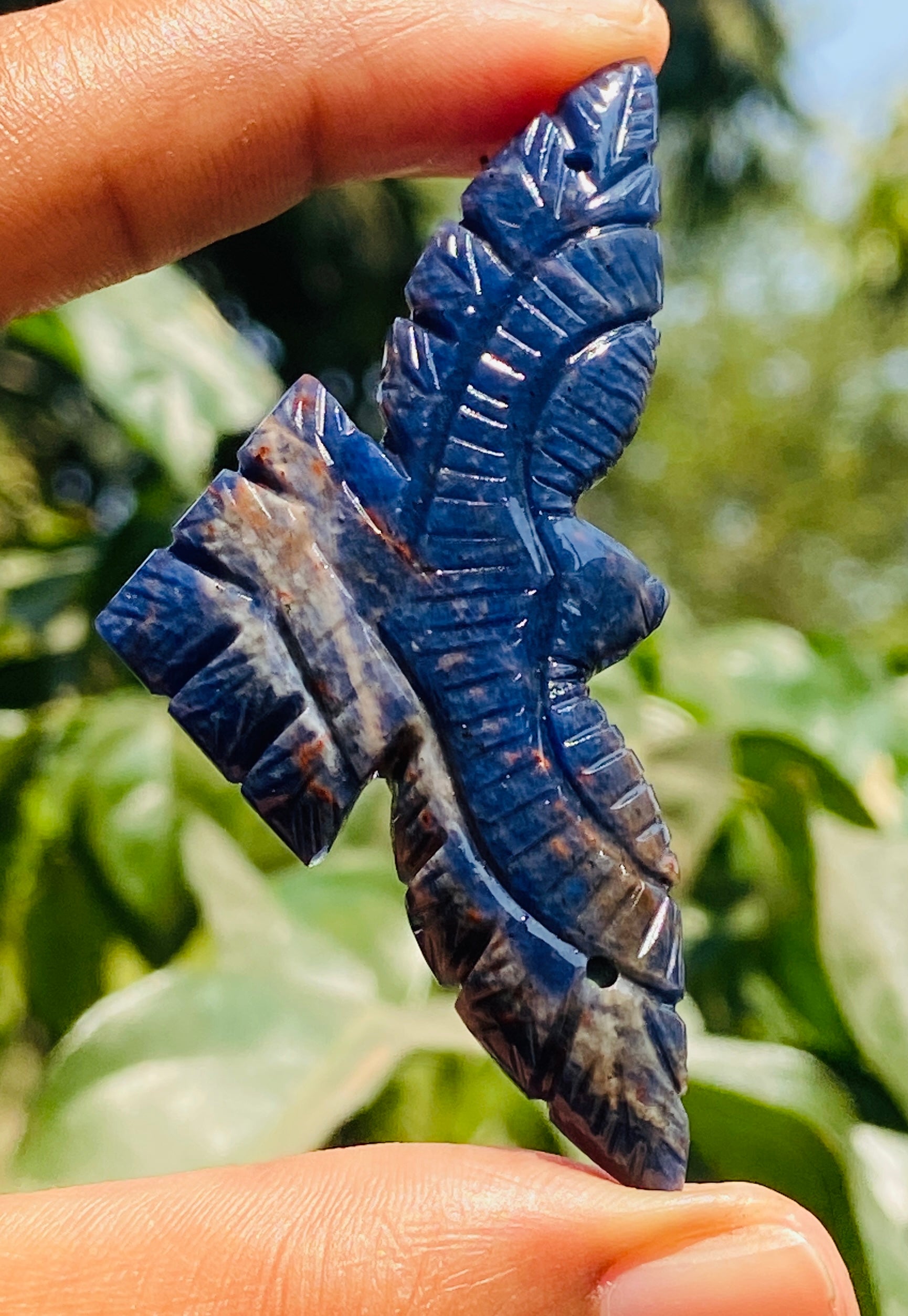 Amusing 53.00 Cts Genuine Blue Sodalite Hand Carved Crystal Premium Eagle