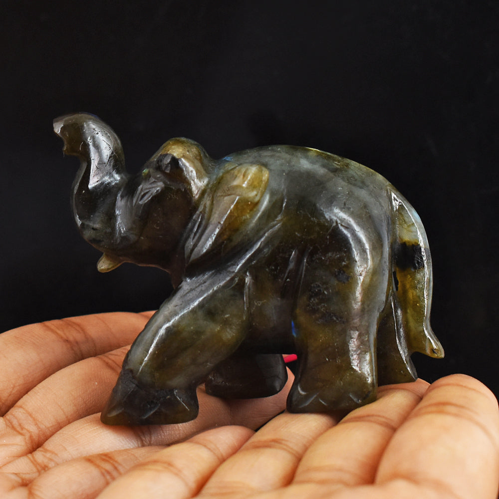 Artisian 612.00 Carats Blue Flash Labradorite Hand Carved Crystal  Gemstone Carving Elephant