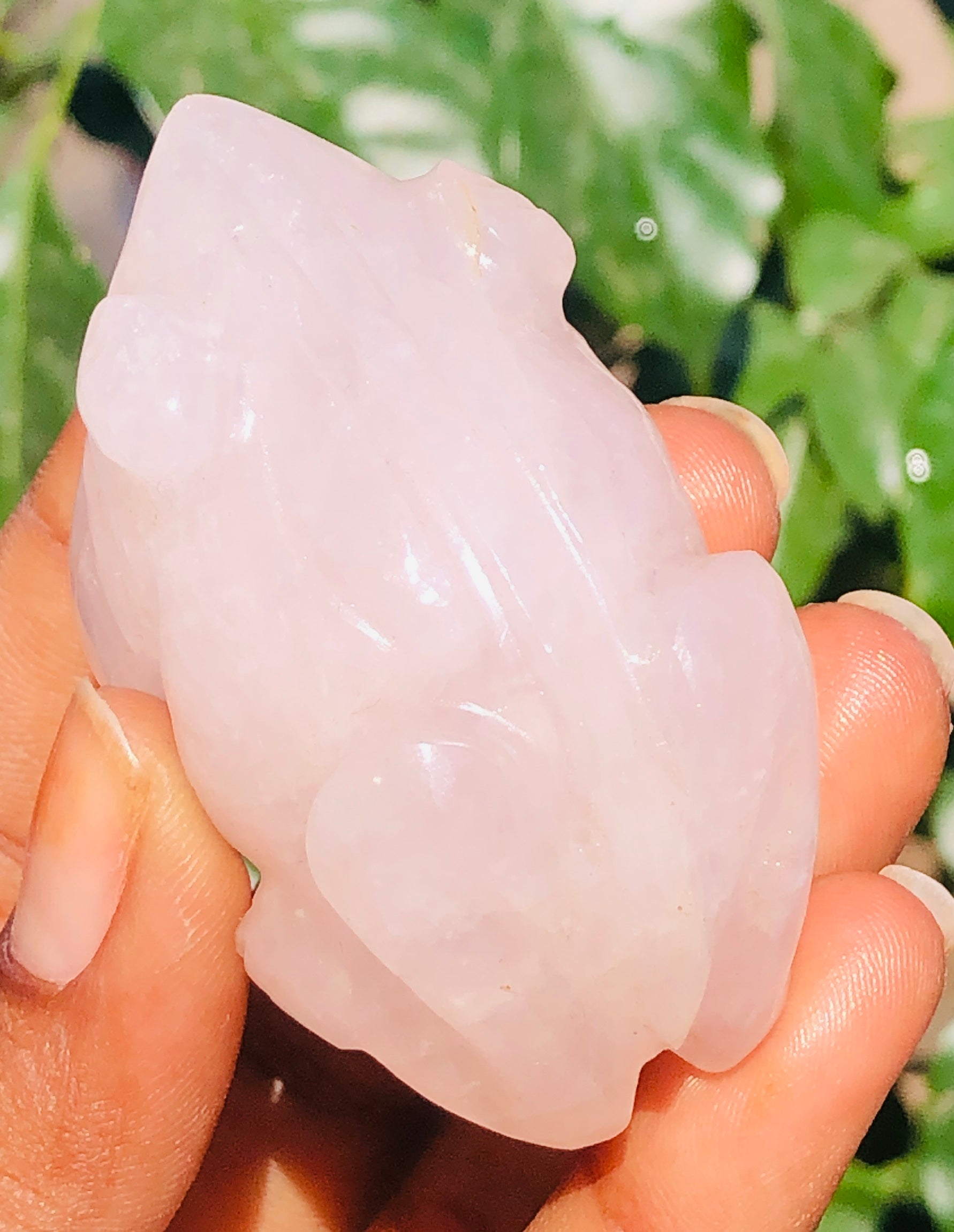 Beautiful 357.00 Cts Genuine Rose Quartz Hand Carved Premium Crystal Frog