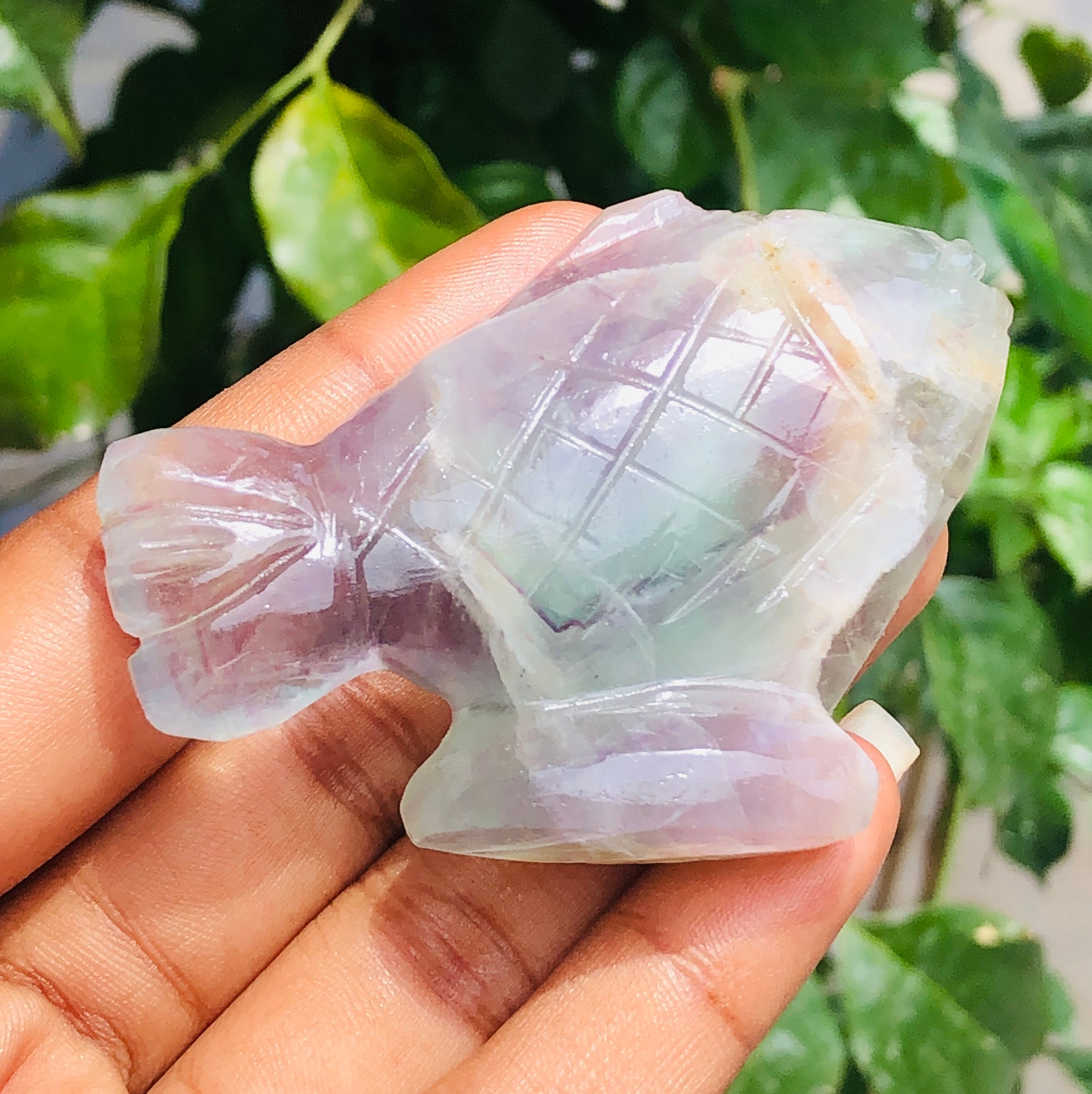Genuine 322.00 Cts Multicolor Fluorite Carved Crystal Premium Fish 2026  Collection