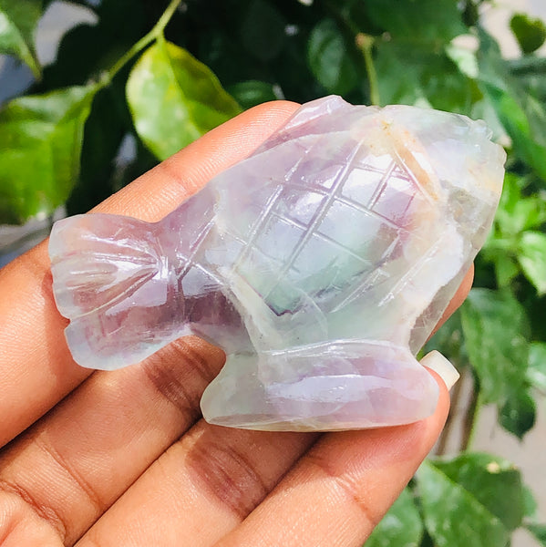 Genuine 322.00 Cts Multicolor Fluorite Carved Crystal Premium Fish 2026  Collection
