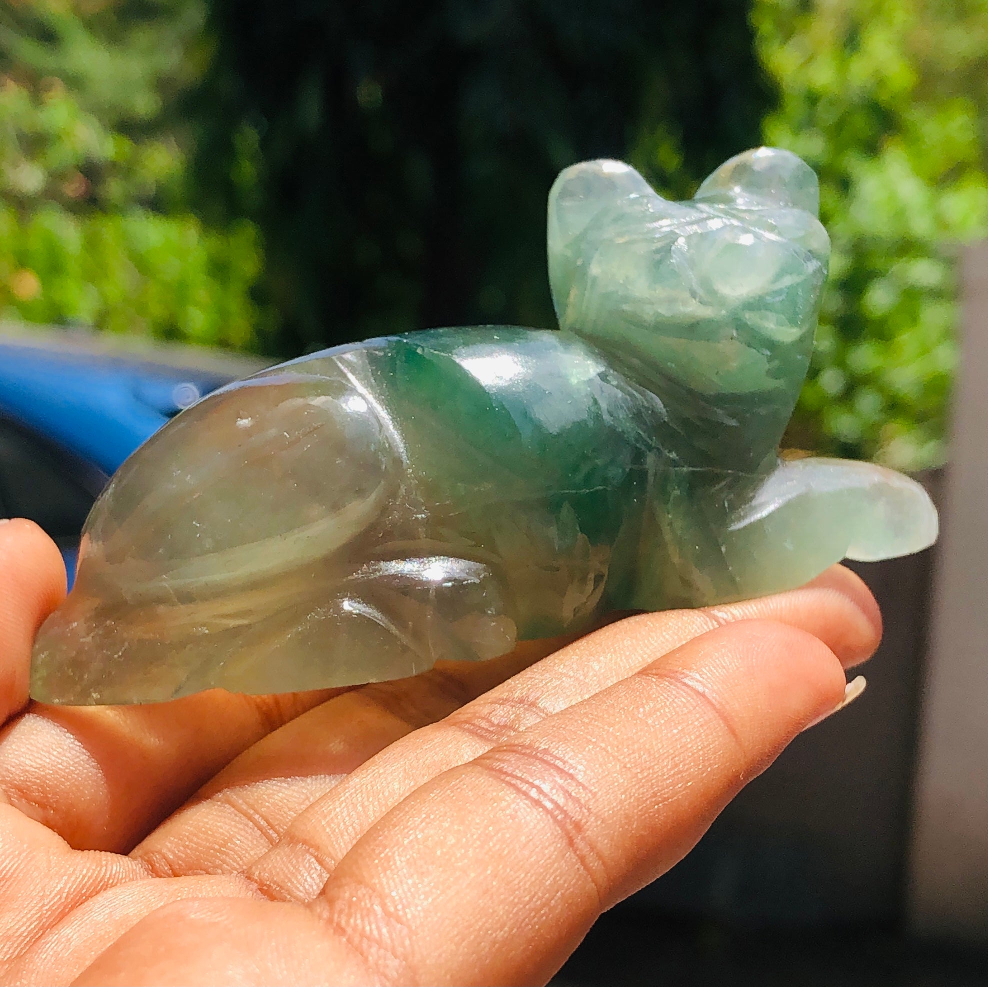Artisian 562.00 Cts Genuine Multicolor Fluorite Carved Premium Cat Crystal 2026  Collection