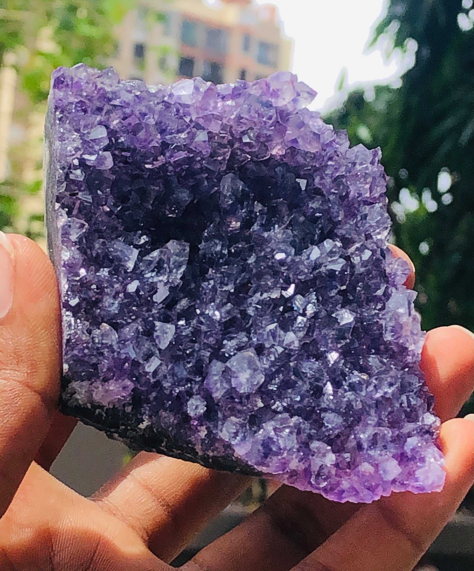Lovely 759.00 Cts Genuine Amethyst Crystal Specimen Healing Cluster Gemstone