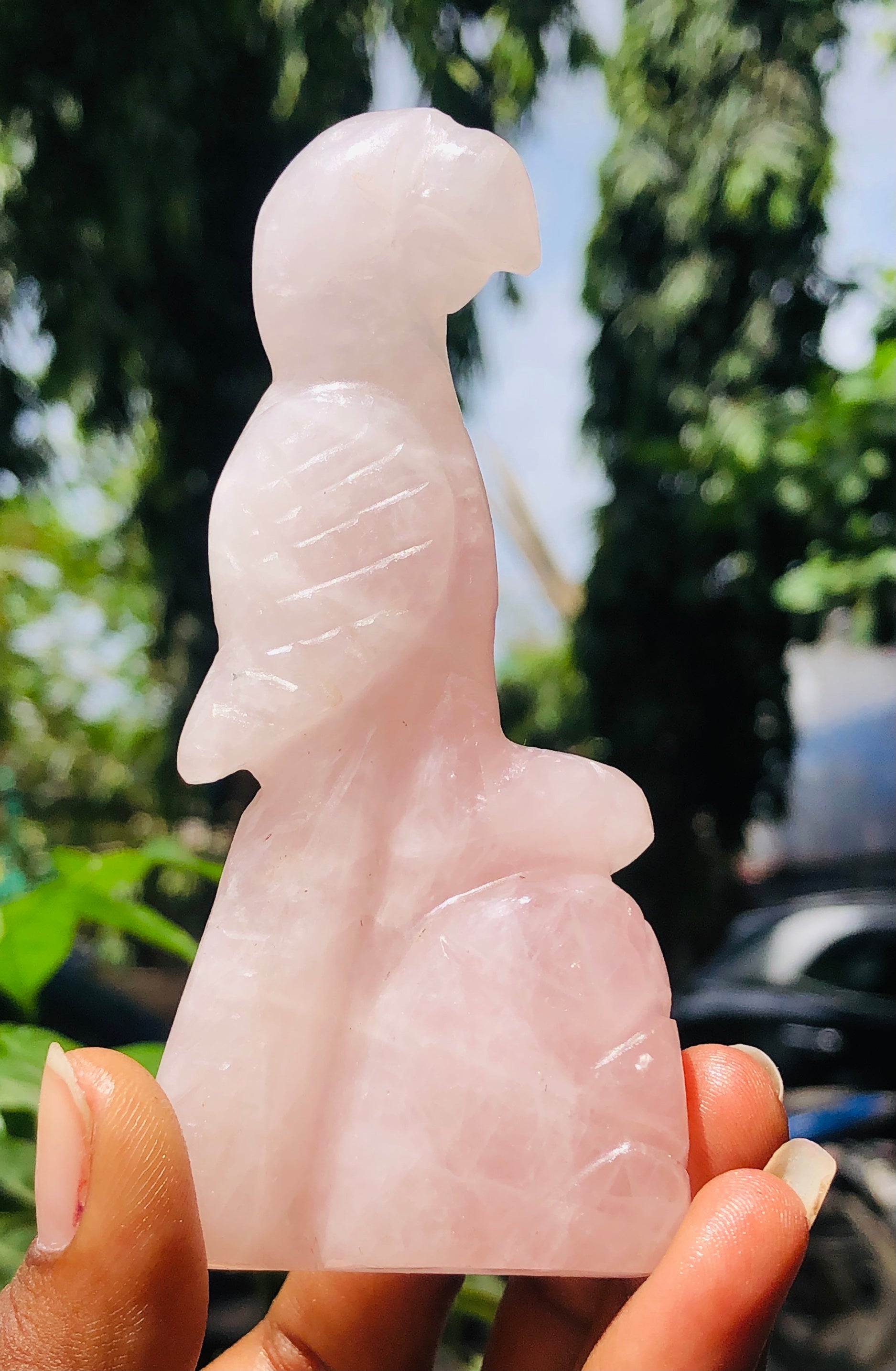 Natural 676.00 Cts Genuine Rose Quartz Crystal Gemstone Hand Carved Premium Bird 2026  Collection