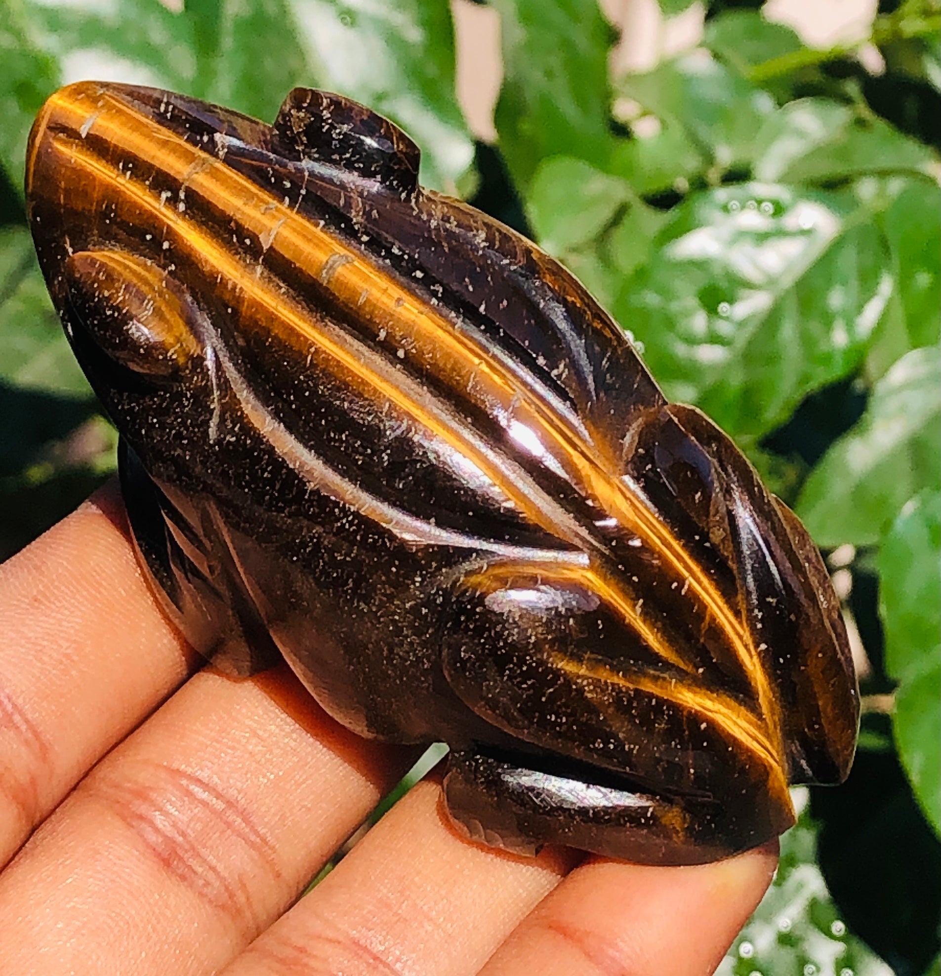 Amazing 562.00 Cts Genuine Tiger Eye Hand Carved Premium Crystal Frog