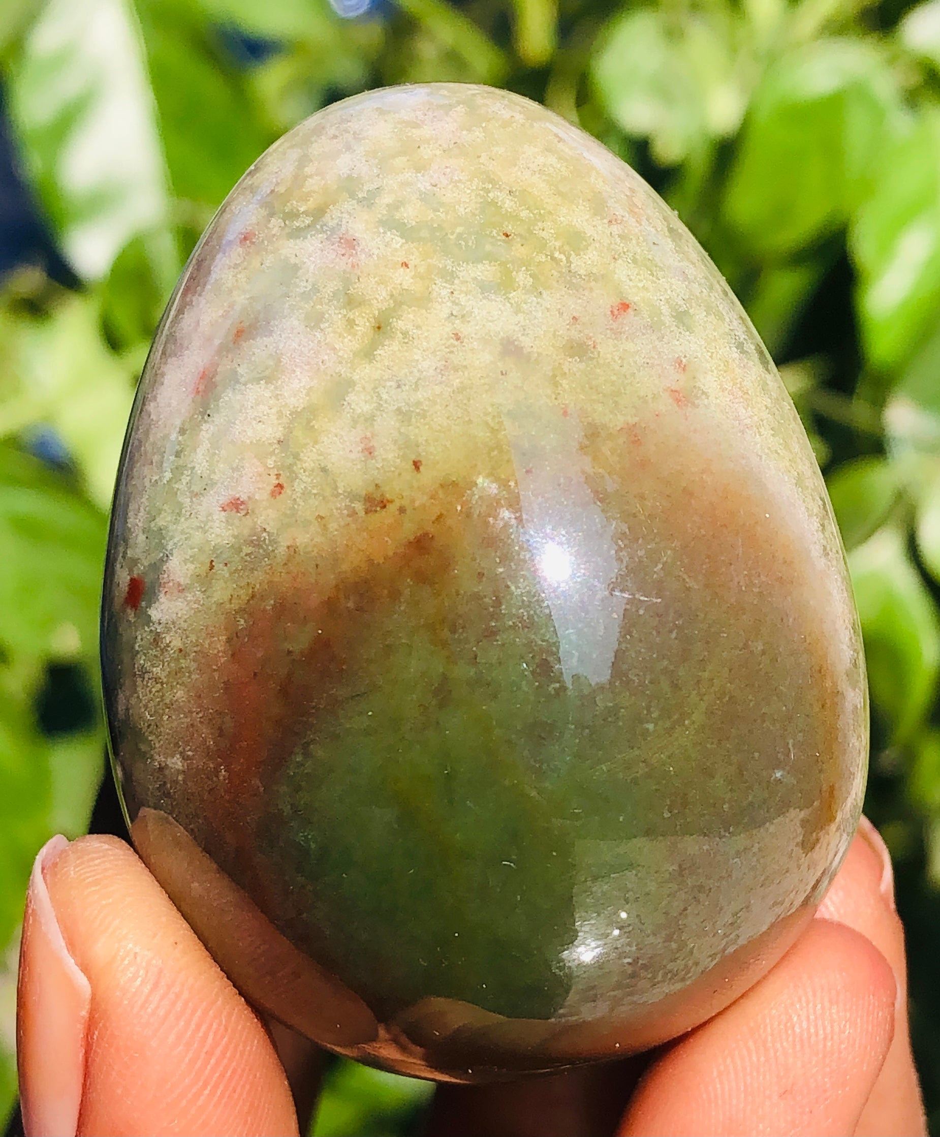 Genuine 430.00 Carats Bloodstone Crystal Specimen Healing Egg