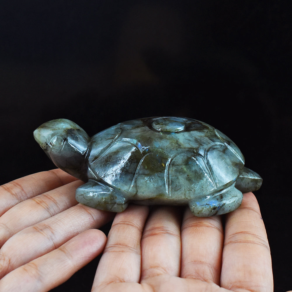 1096.00 Carats  Genuine Blue Flash Labradorite Hand Carved  Crystal  Gemstone Turtle Carving