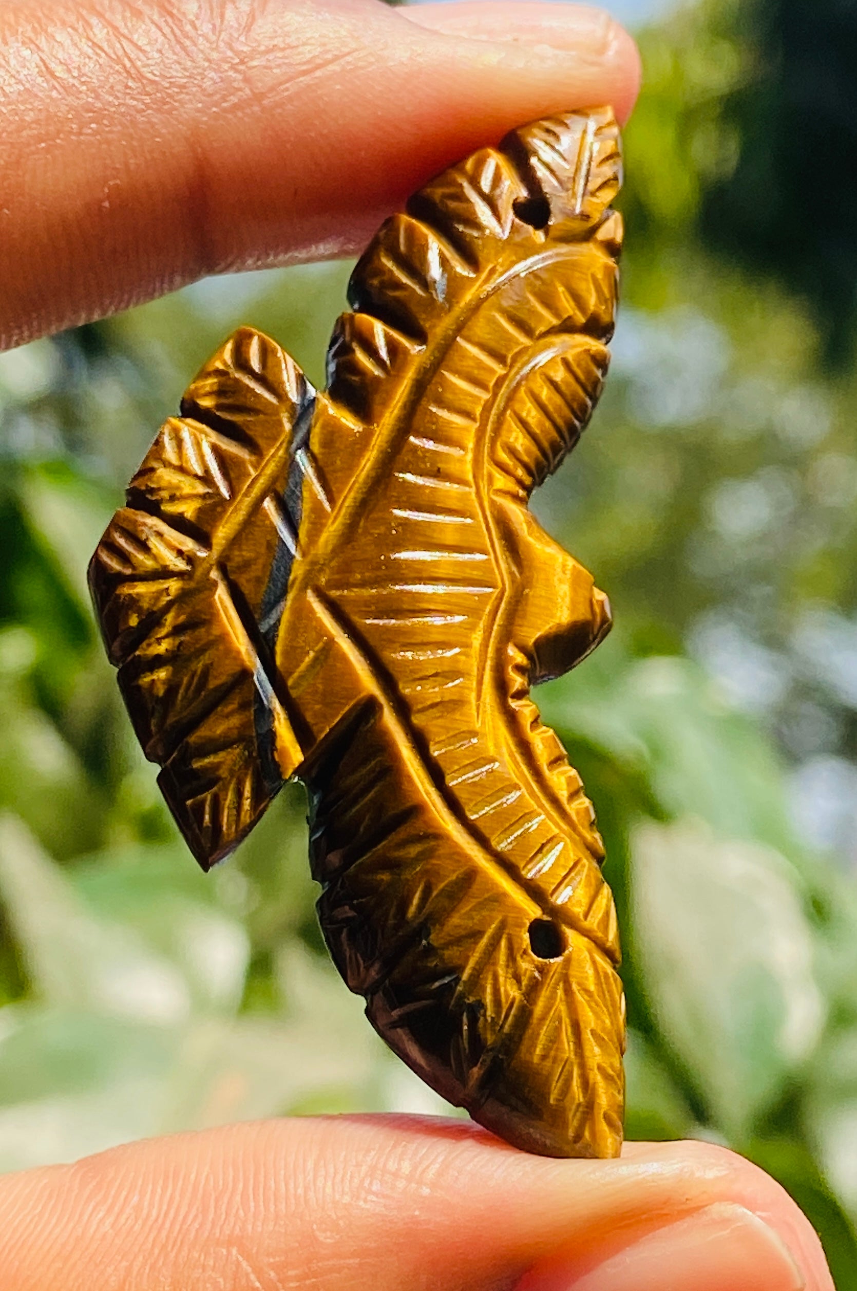 Finest Ever 39.00 Cts Genuine Golden Tiger Eye Hand Carved Premium Eagle Crystal