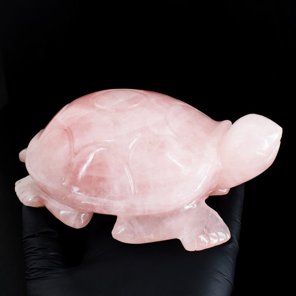 Amazing 4206.00 Cts Genuine Pink Rose Quartz Hand Carved Premium Crystal Turtle