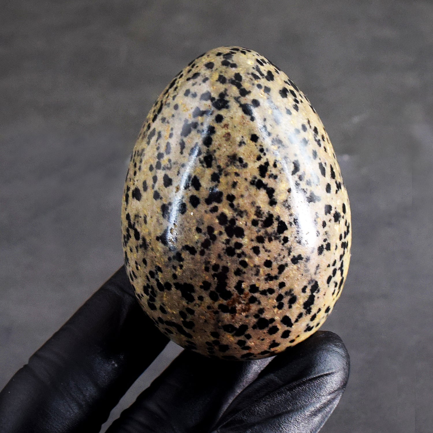 Best Of Best 797.00 Cts Genuine Dalmation Jasper Crystal Gemstone Healing Premium Egg