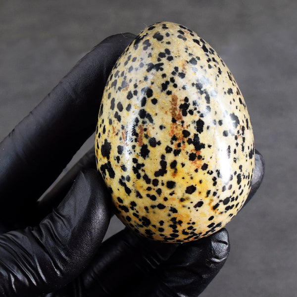 Best Of Best 797.00 Cts Genuine Dalmation Jasper Crystal Gemstone Healing Premium Egg