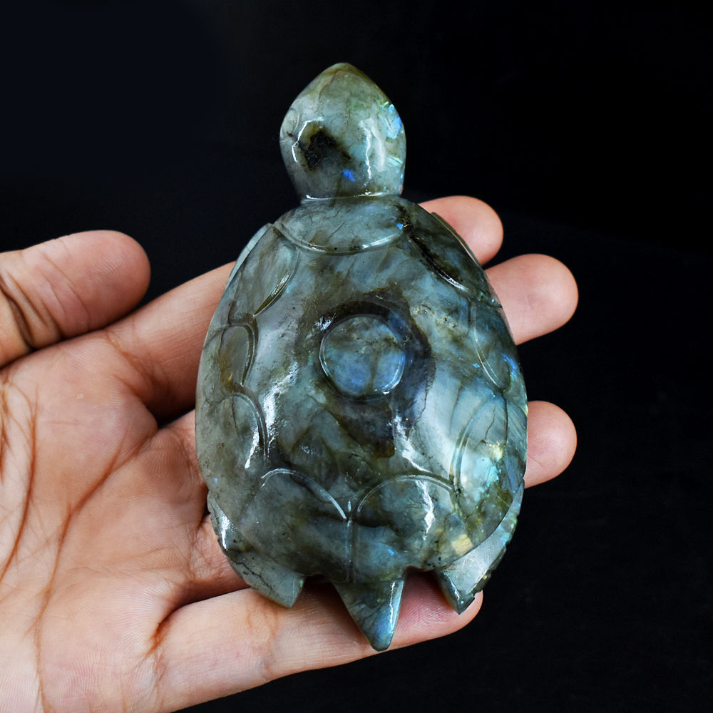 1096.00 Carats  Genuine Blue Flash Labradorite Hand Carved  Crystal  Gemstone Turtle Carving