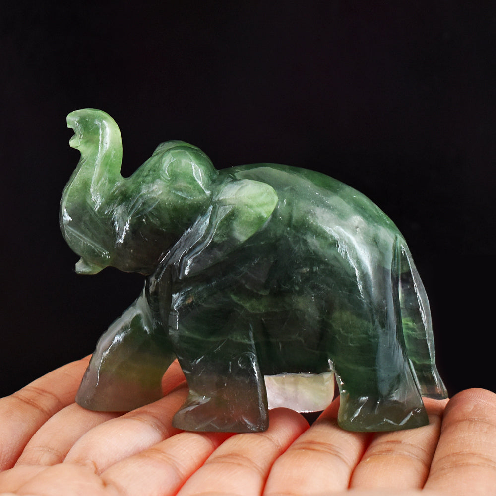 Amazing 1352.00 Cts Genuine Multicolor Fluorite Hand Carved Crystal Gemstone Carving Elephant