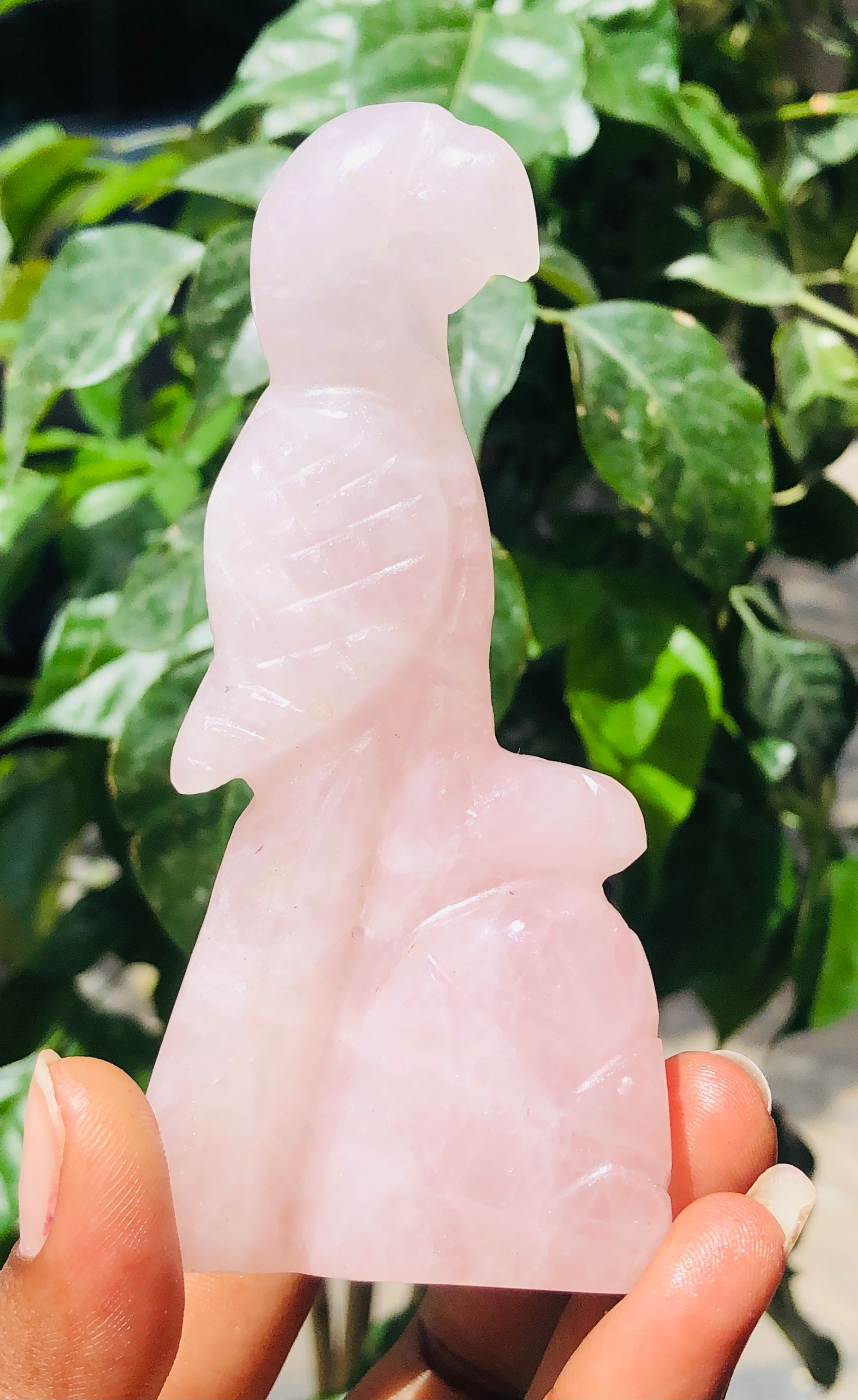 Natural 676.00 Cts Genuine Rose Quartz Crystal Gemstone Hand Carved Premium Bird 2026  Collection