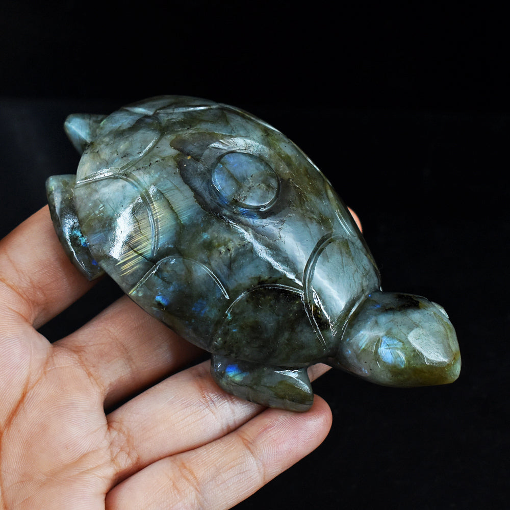 1096.00 Carats  Genuine Blue Flash Labradorite Hand Carved  Crystal  Gemstone Turtle Carving