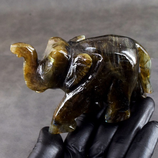 Golden & Blue Flash Labradorite 1230.00 Cts Carved Premium Crystal Premium Elephant