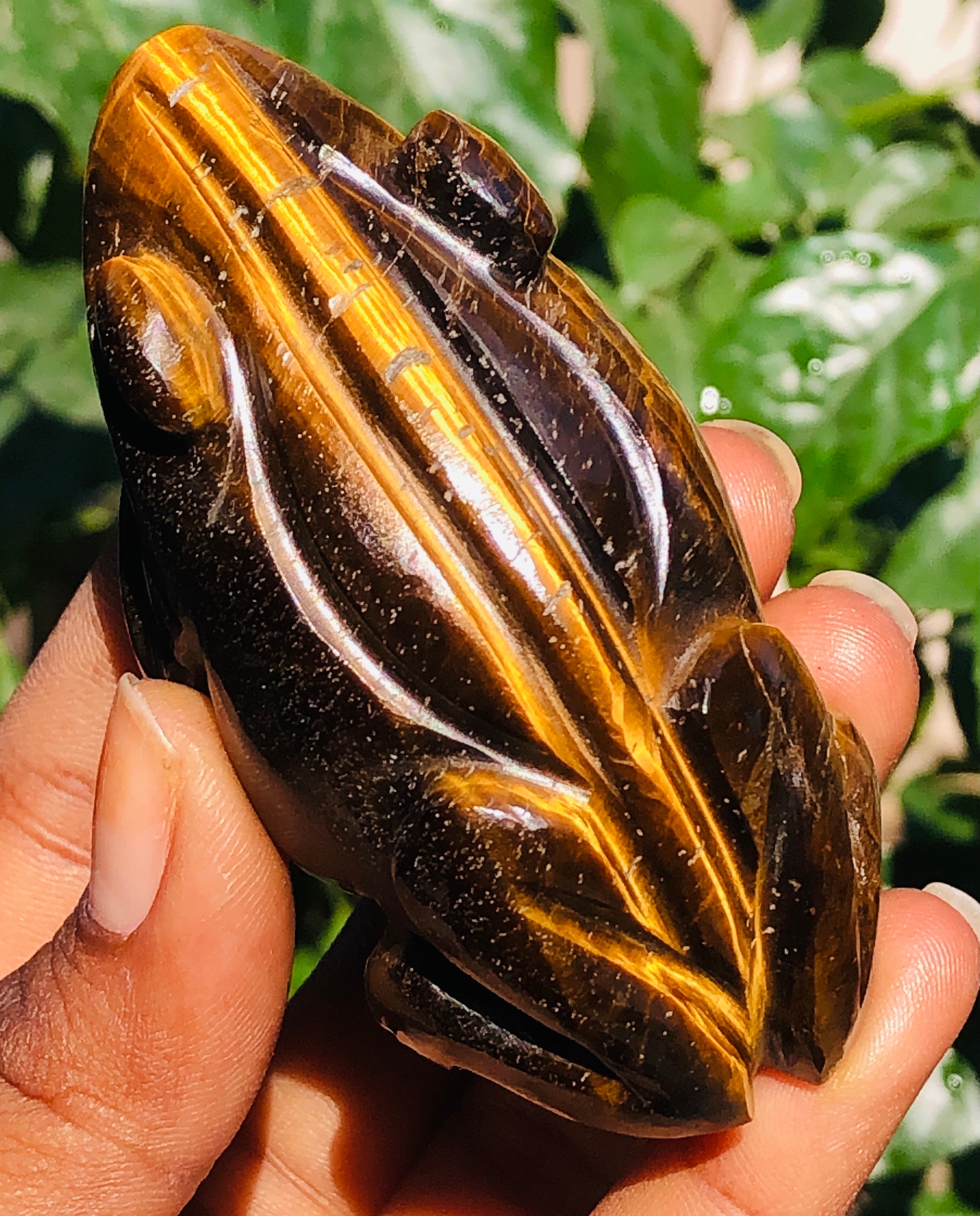 Amazing 562.00 Cts Genuine Tiger Eye Hand Carved Premium Crystal Frog