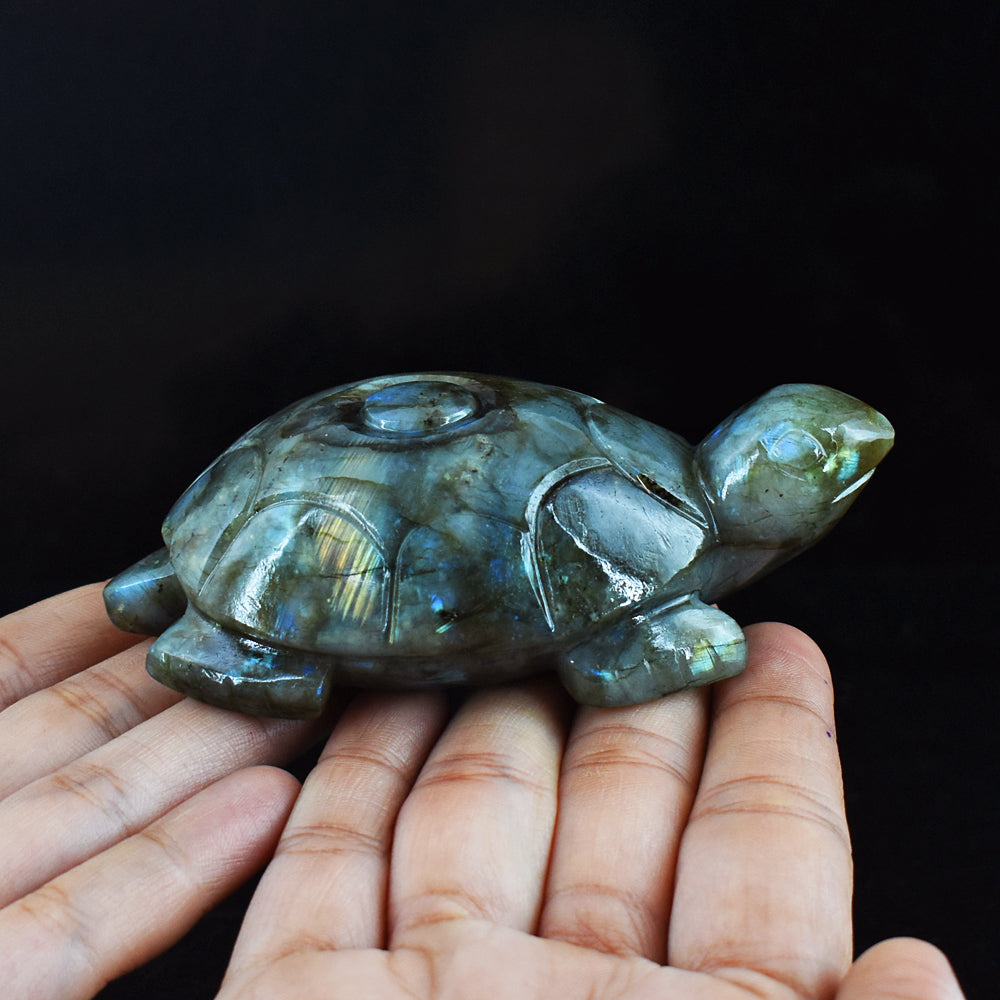 1096.00 Carats  Genuine Blue Flash Labradorite Hand Carved  Crystal  Gemstone Turtle Carving