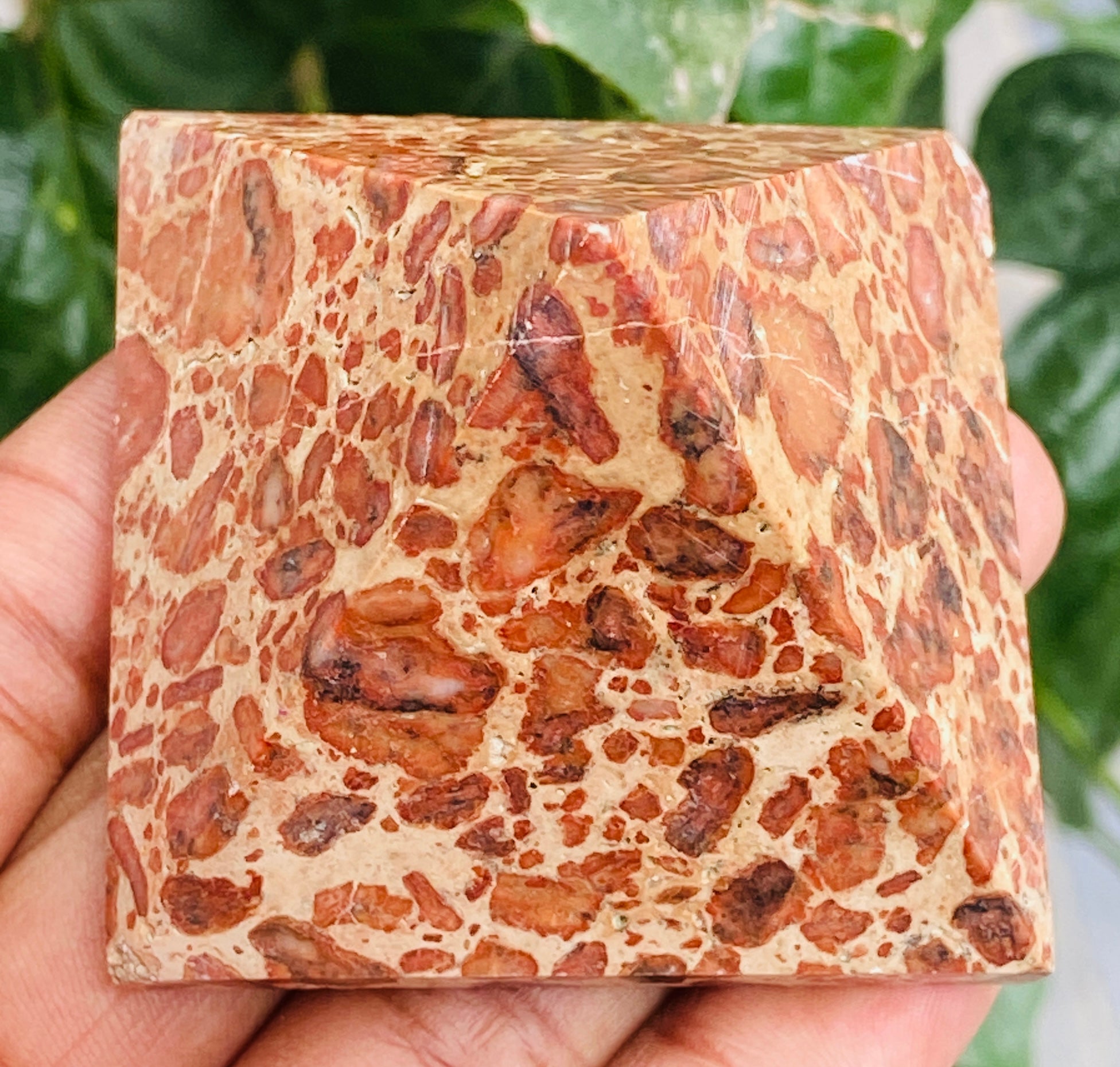 Radiant 508.00 Cts Exclusive Leopard Skin Jasper Healing Crystal Specimen Premium Pyramid