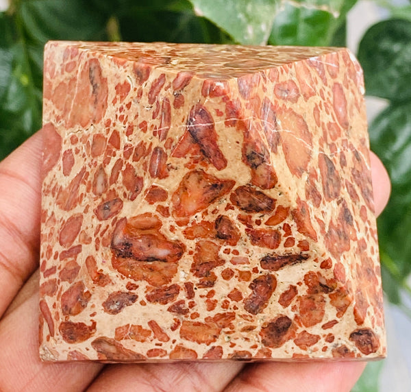 Radiant 508.00 Cts Exclusive Leopard Skin Jasper Healing Crystal Specimen Premium Pyramid