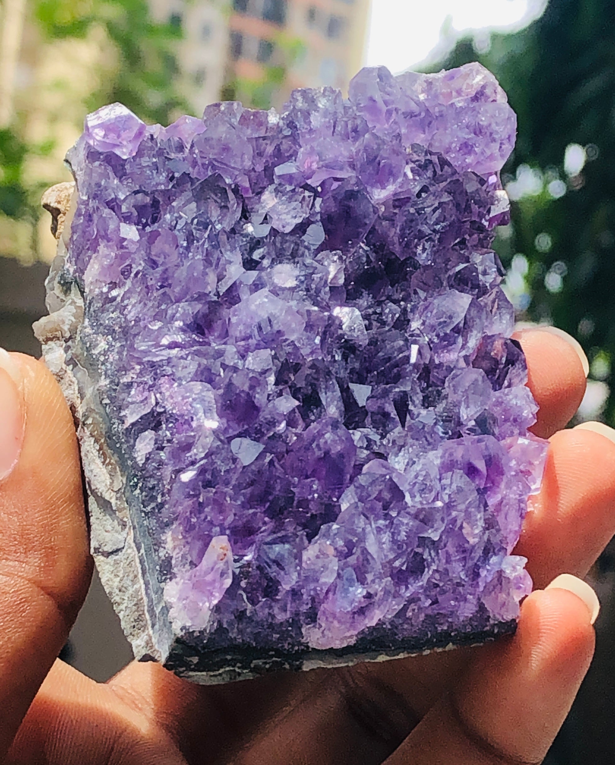 Cordial 801.00 Cts Genuine Amethyst Crystal Specimen Healing Cluster Gemstone