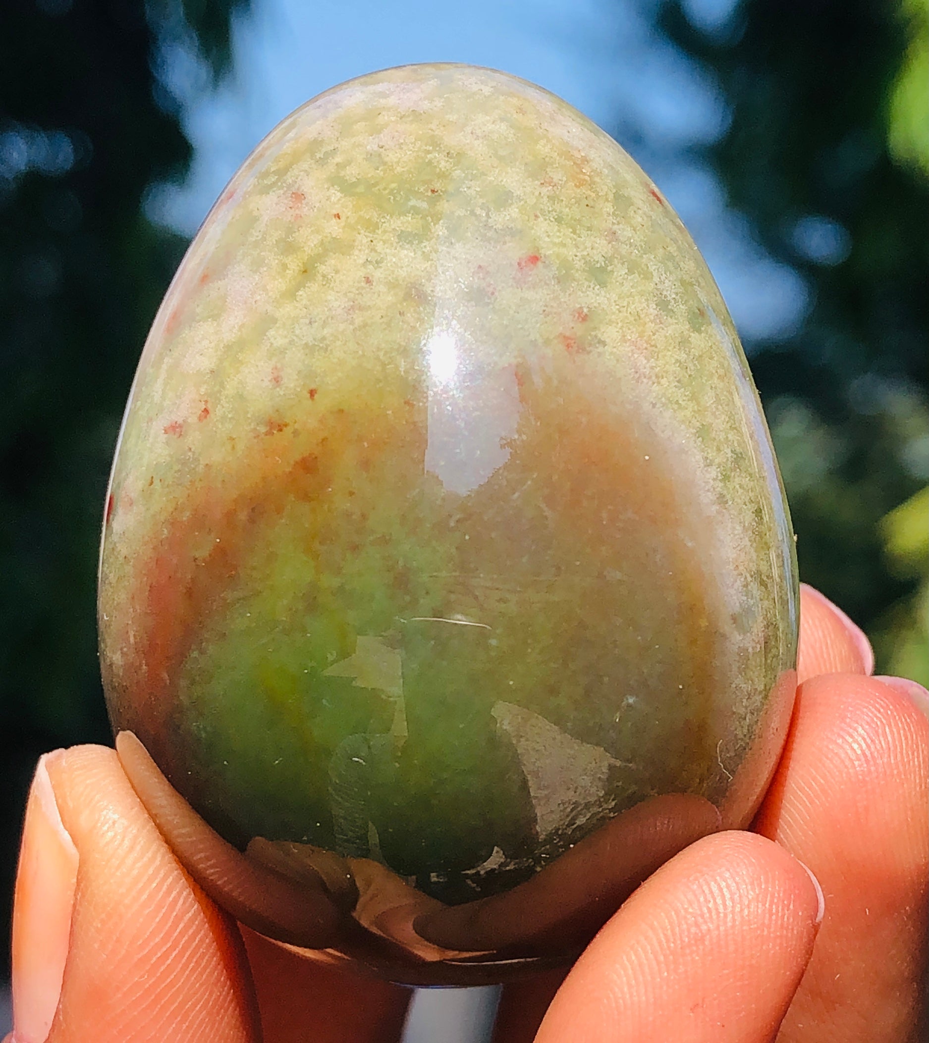 Genuine 430.00 Carats Bloodstone Crystal Specimen Healing Egg