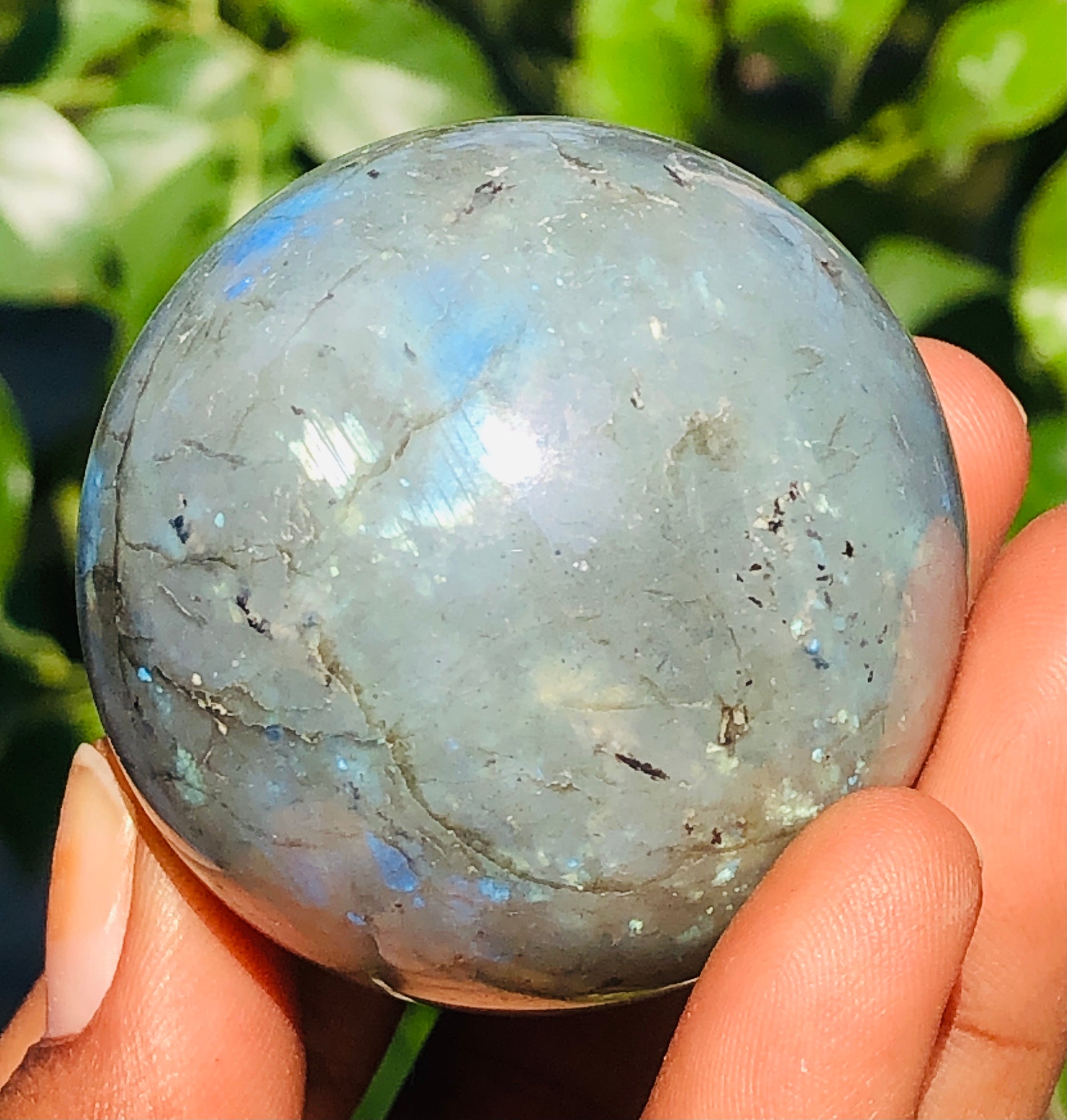 Morbid 559.00 Cts Genuine Blue Flash Labradorite Healing Ball Premium Sphere Crystal