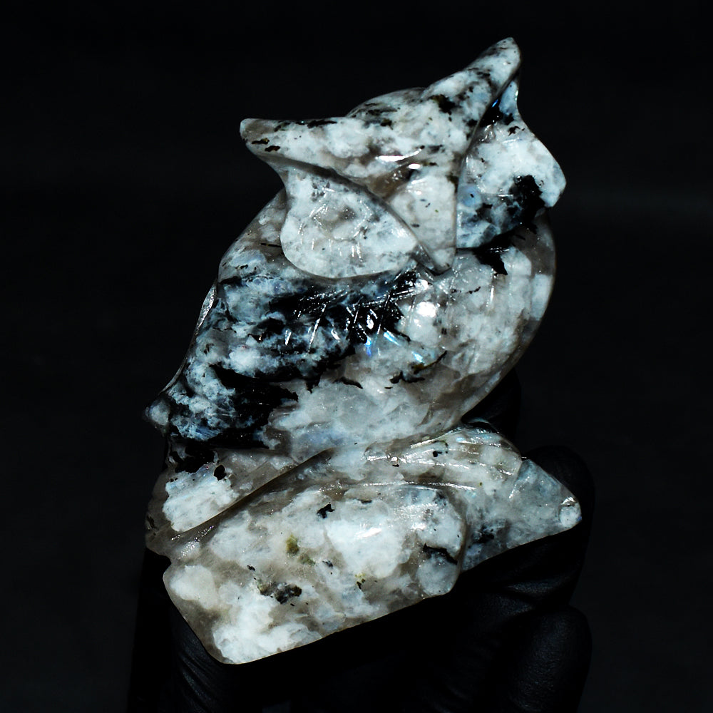 Awesome 1145.00 Cts Genuine Blue Flash Moonstone Owl Hand Carved Genuine Crystal Gemstone Owl Carving