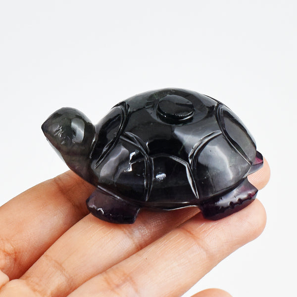 Gorgeous 452.00  Carats Genuine  Multicolor Fluorite Hand Carved Crystal Gemstone Turtle Carving