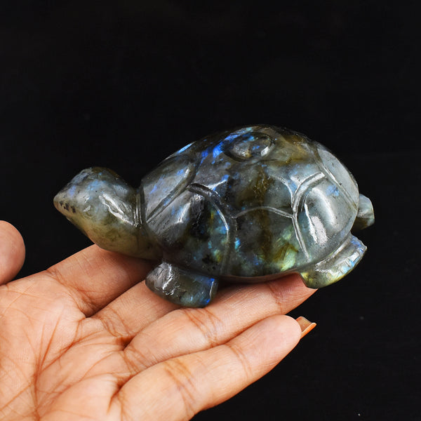 Beautiful  684.00 Carats Genuine Blue Flash Labradorite Hand Carved  Crystal  Turtle Carving