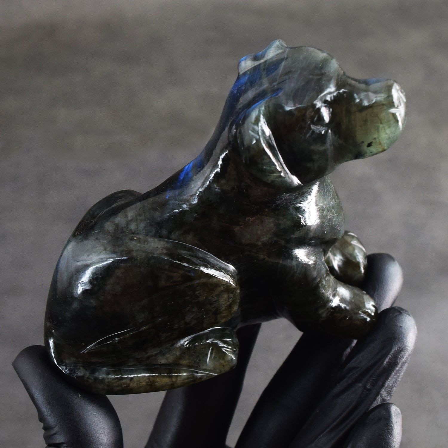 Elegant 1496.00 Cts Genuine Blue Flash Labradorite Hand Carved Gemstone Dog