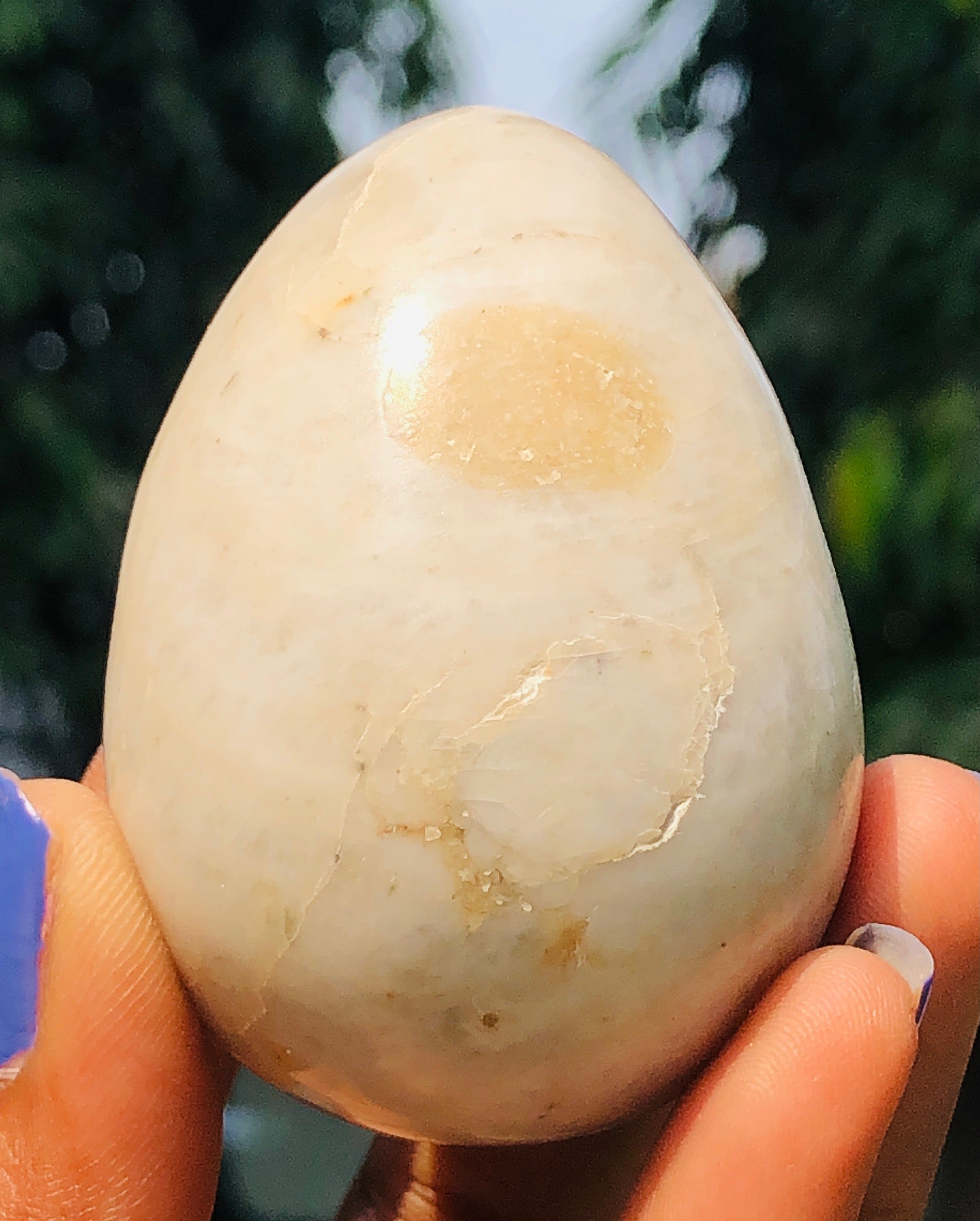 Stunning 654.00 Cts Genuine White Agate Crystal Healing Premium Egg Crystal