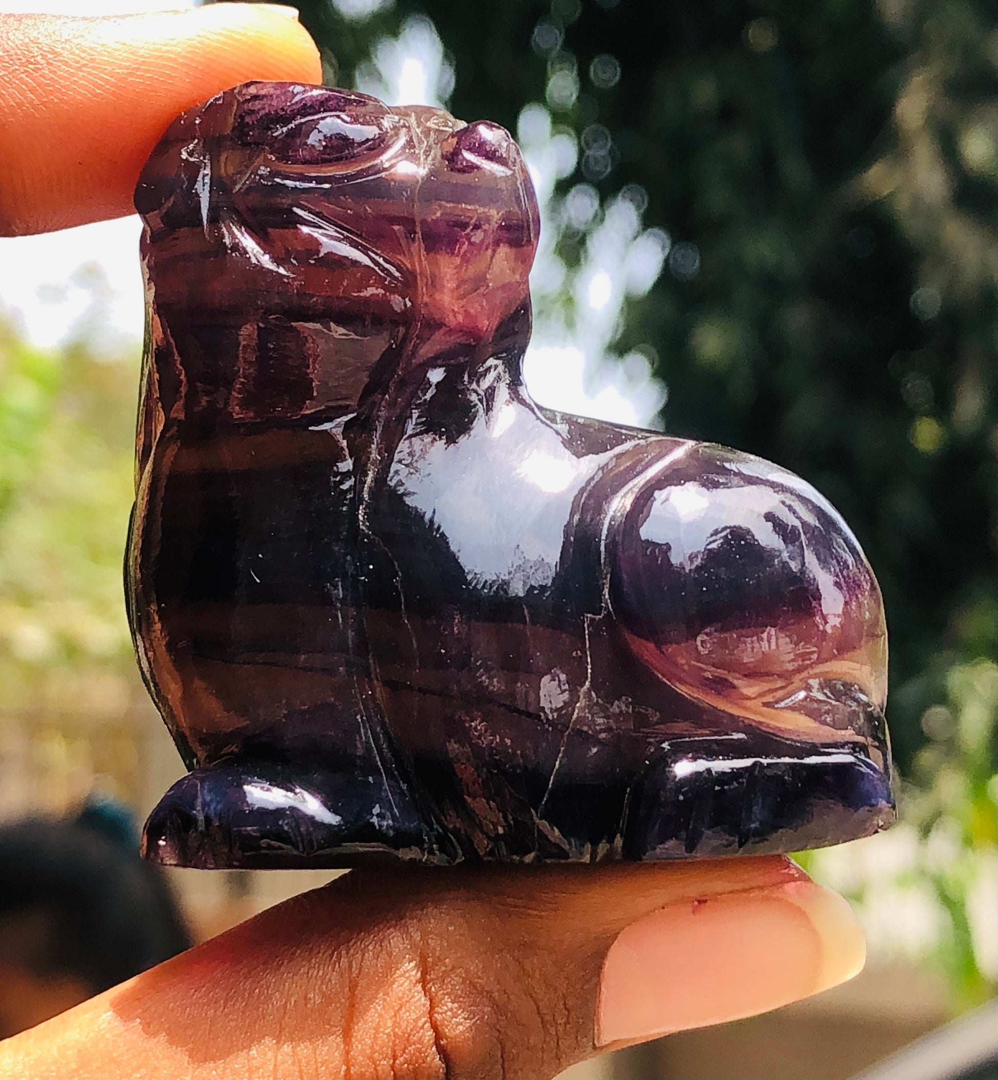 Artisian 552.00 Cts Genuine Multicolor Fluorite Carved Premium Cat Crystal 2026  Collection