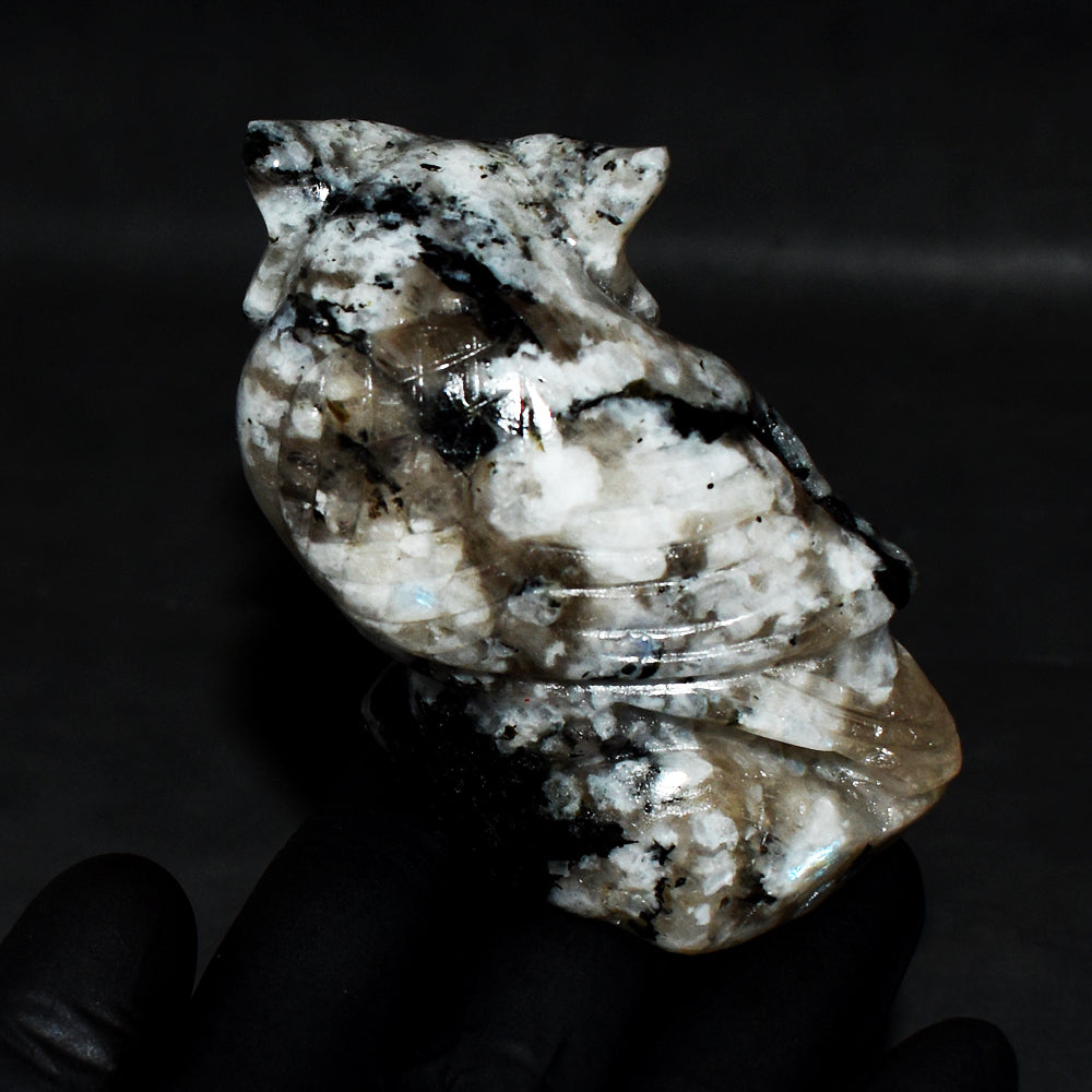 Awesome 1145.00 Cts Genuine Blue Flash Moonstone Owl Hand Carved Genuine Crystal Gemstone Owl Carving