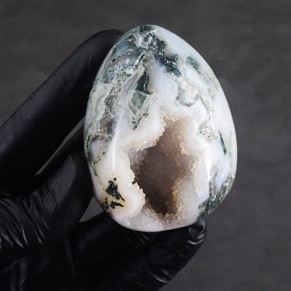 Stunning 936.00 Cts Genuine Tree Agate Druzy Crystal Healing Premium Egg Crystal